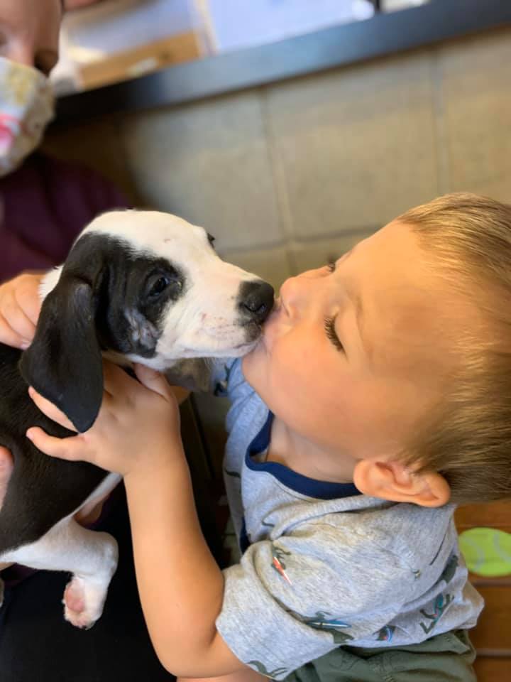Bentley with Lacey the puppy, who has a cleft lip