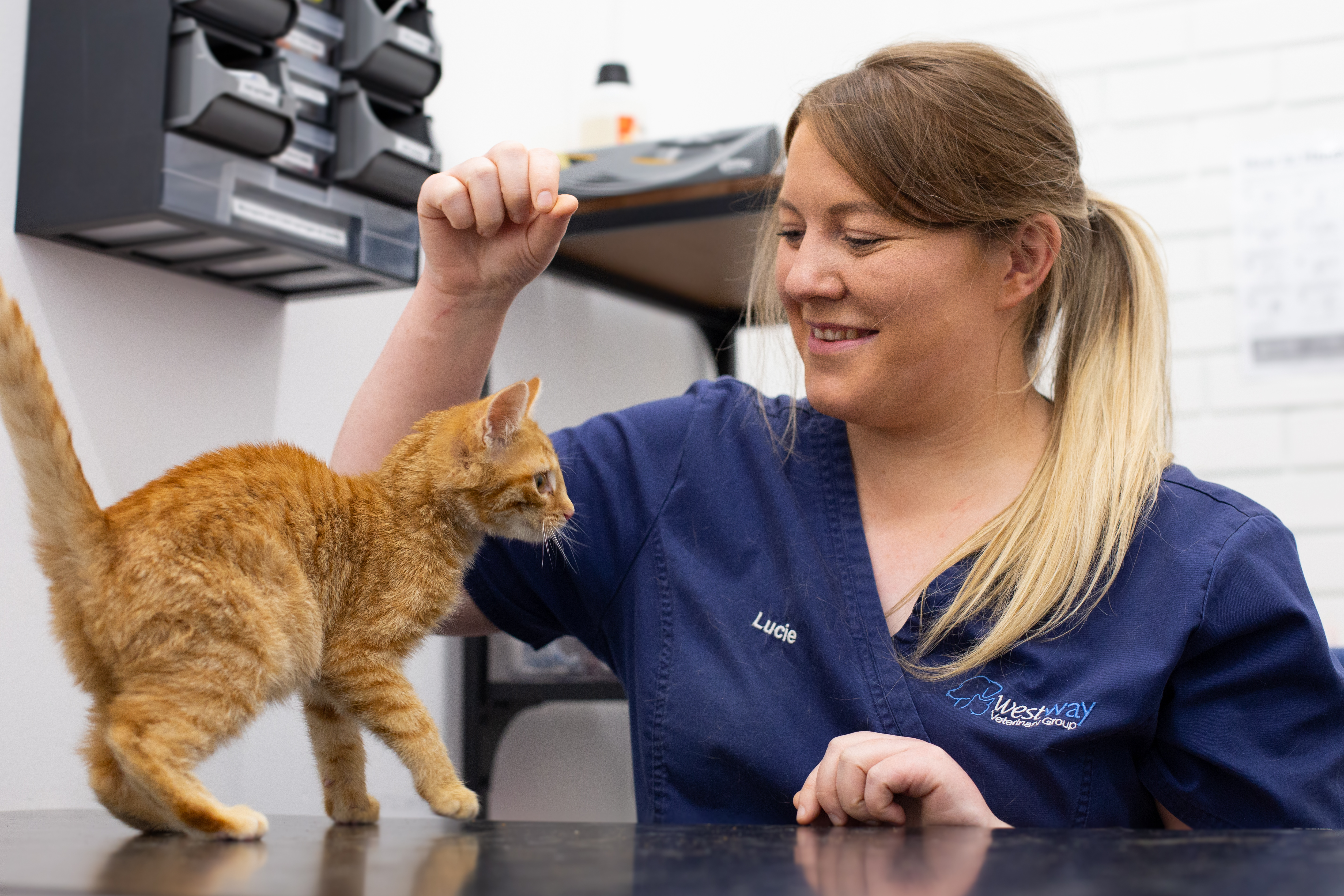 Vet Lucie McKenzie and Pirate the kitten