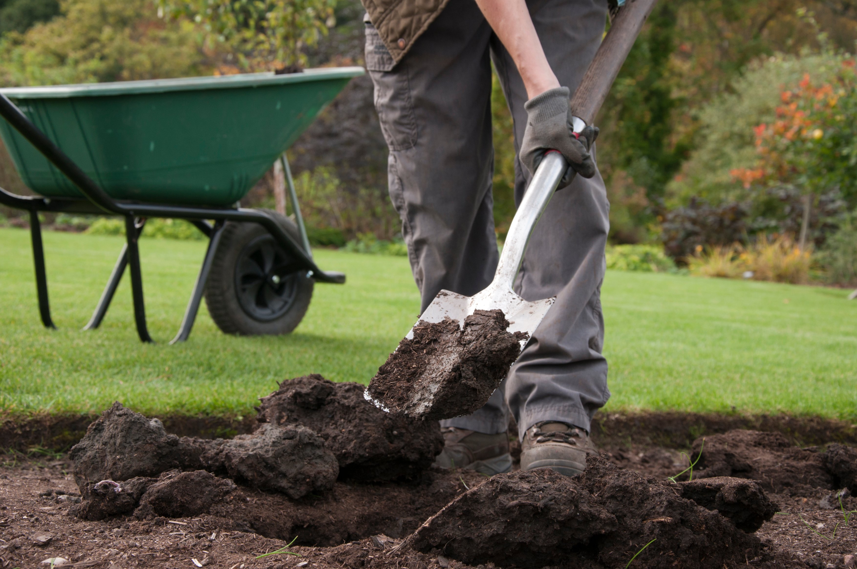 Autumn is a good time to get new plants into the ground (RHS/Tim Sandall/PA)