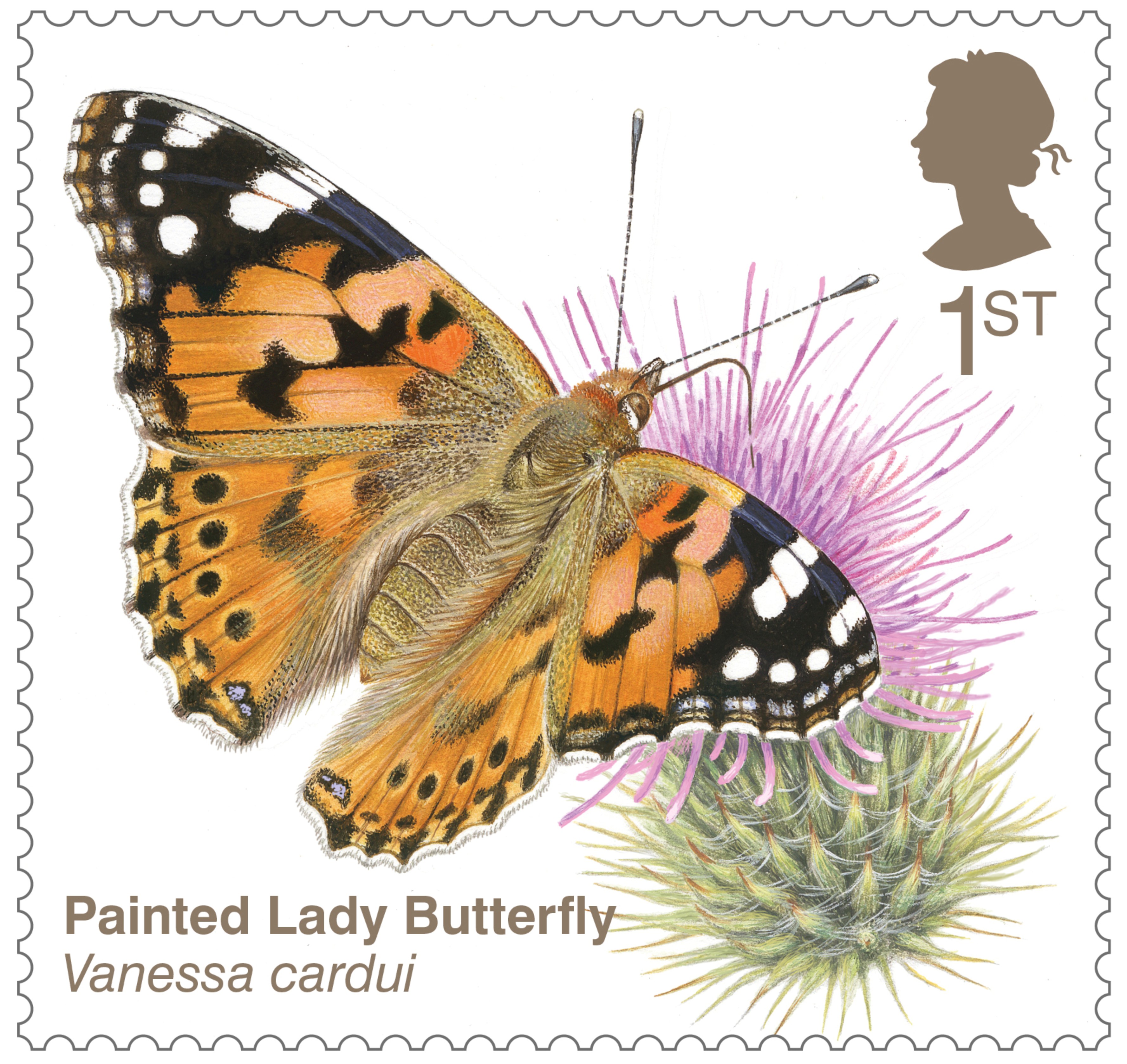 Painted lady butterfly stamp