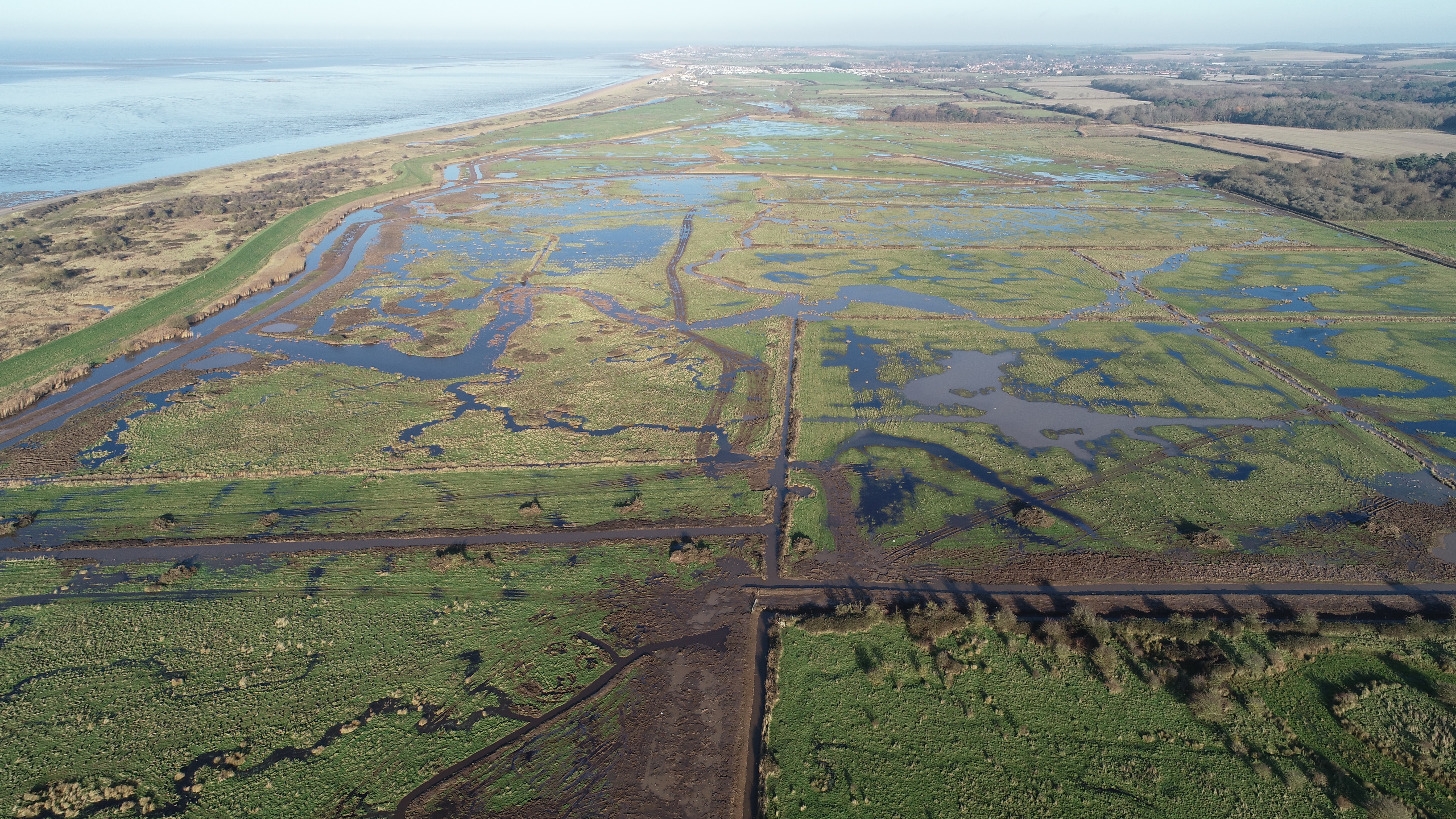 The beaver reintroduction is part of a wider scheme on the 4,000 acre farm (Wild Ken Hill)