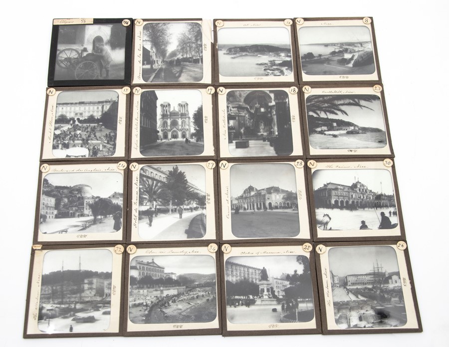 Glass slides from France in the Henderson Collection 
