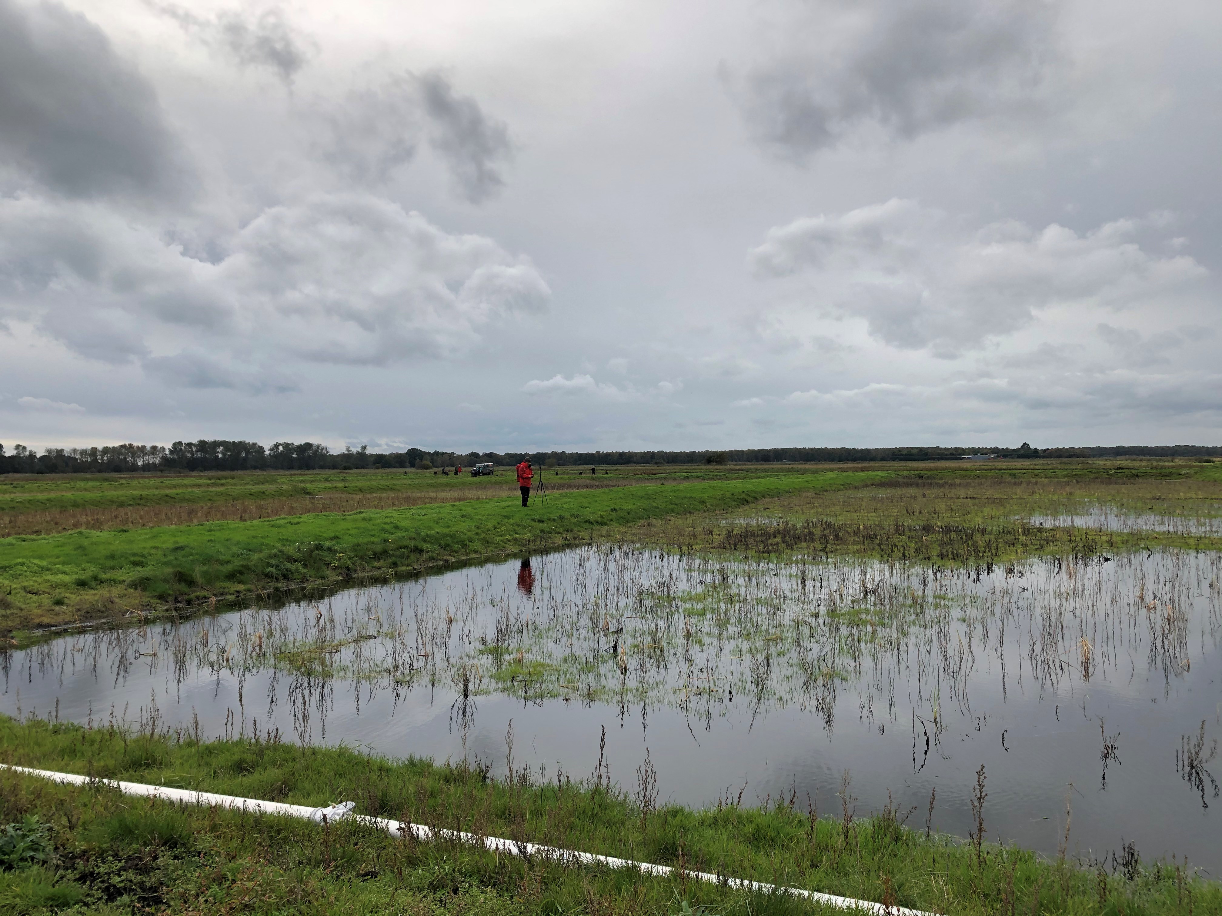 Crops are being planted that can tolerate a wetter landscape (Emily Beament/PA)