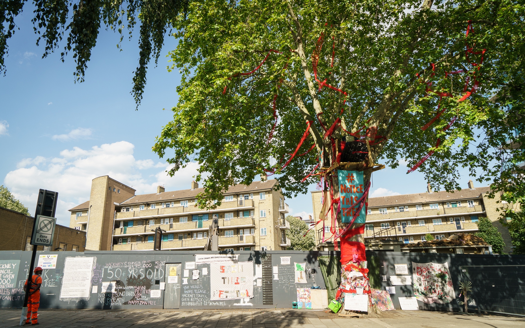 Campaigners have fought to save the 150-year-old plane tree (Tessa Chan)