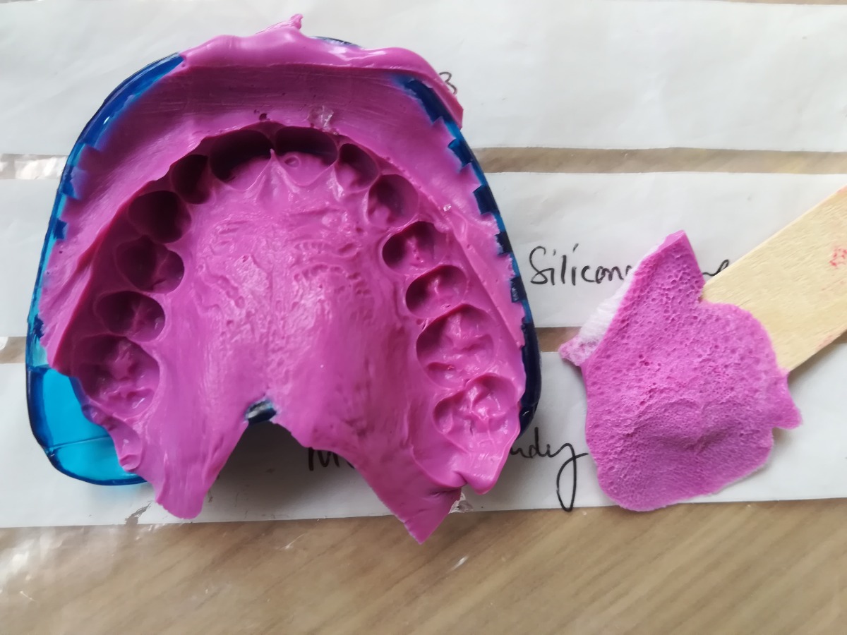 Silicone impressions of human palate and tongue used