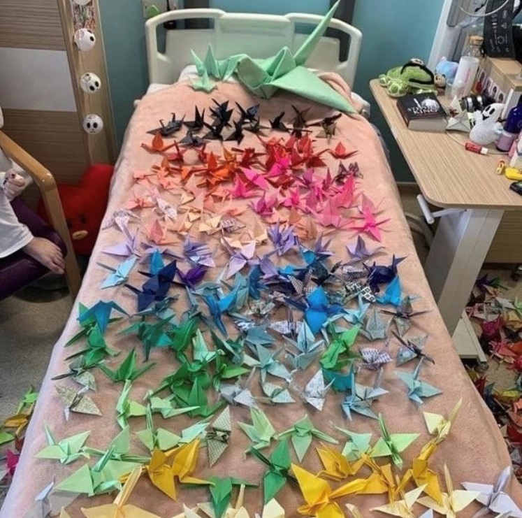 Hospital patient, 15, makes 1,000 origami cranes for ‘good luck