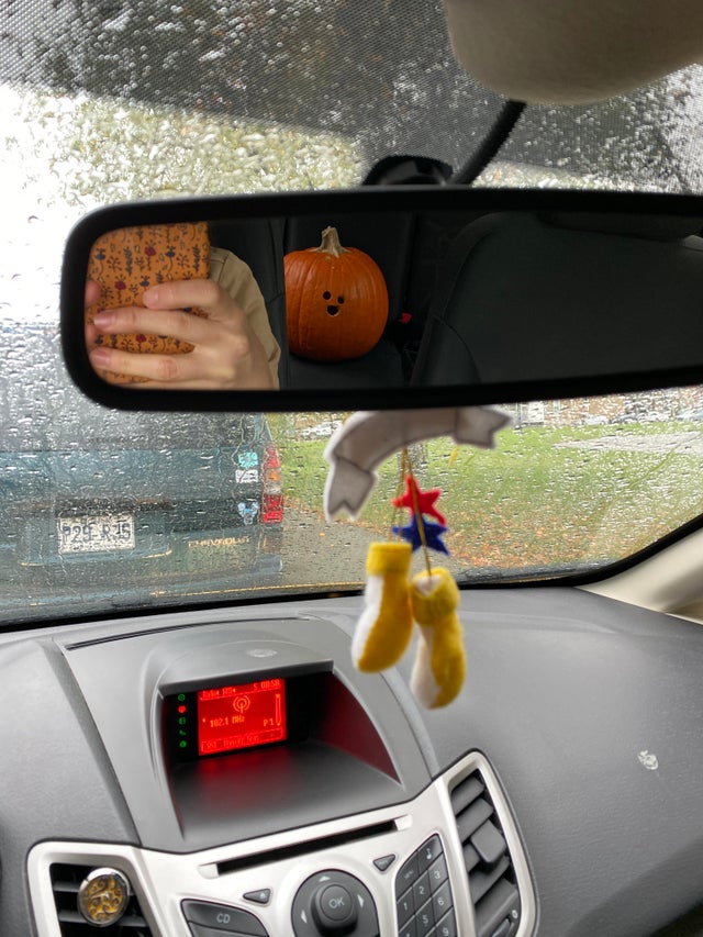 A pumpkin rides in the back seat of a car