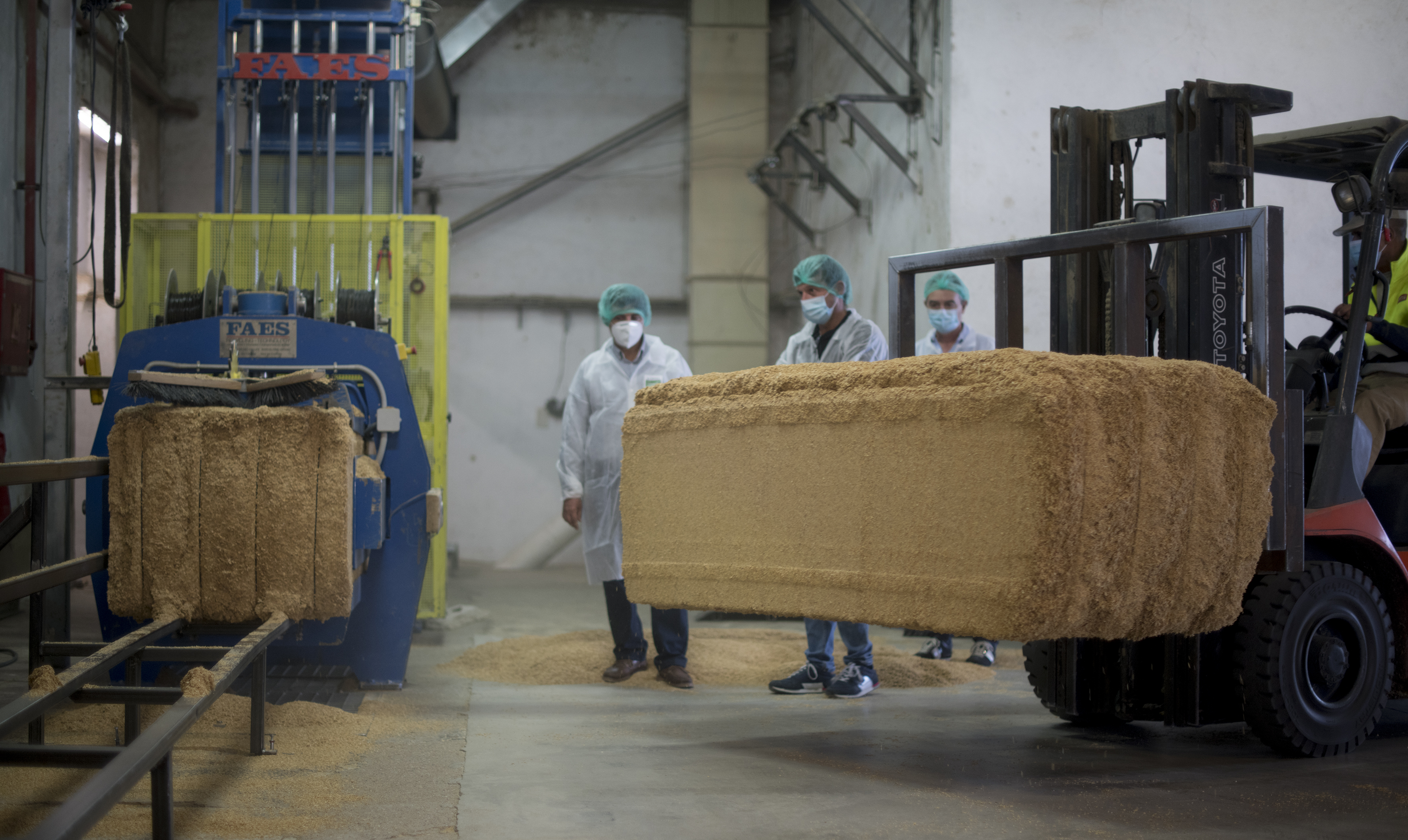 Seat rice husks