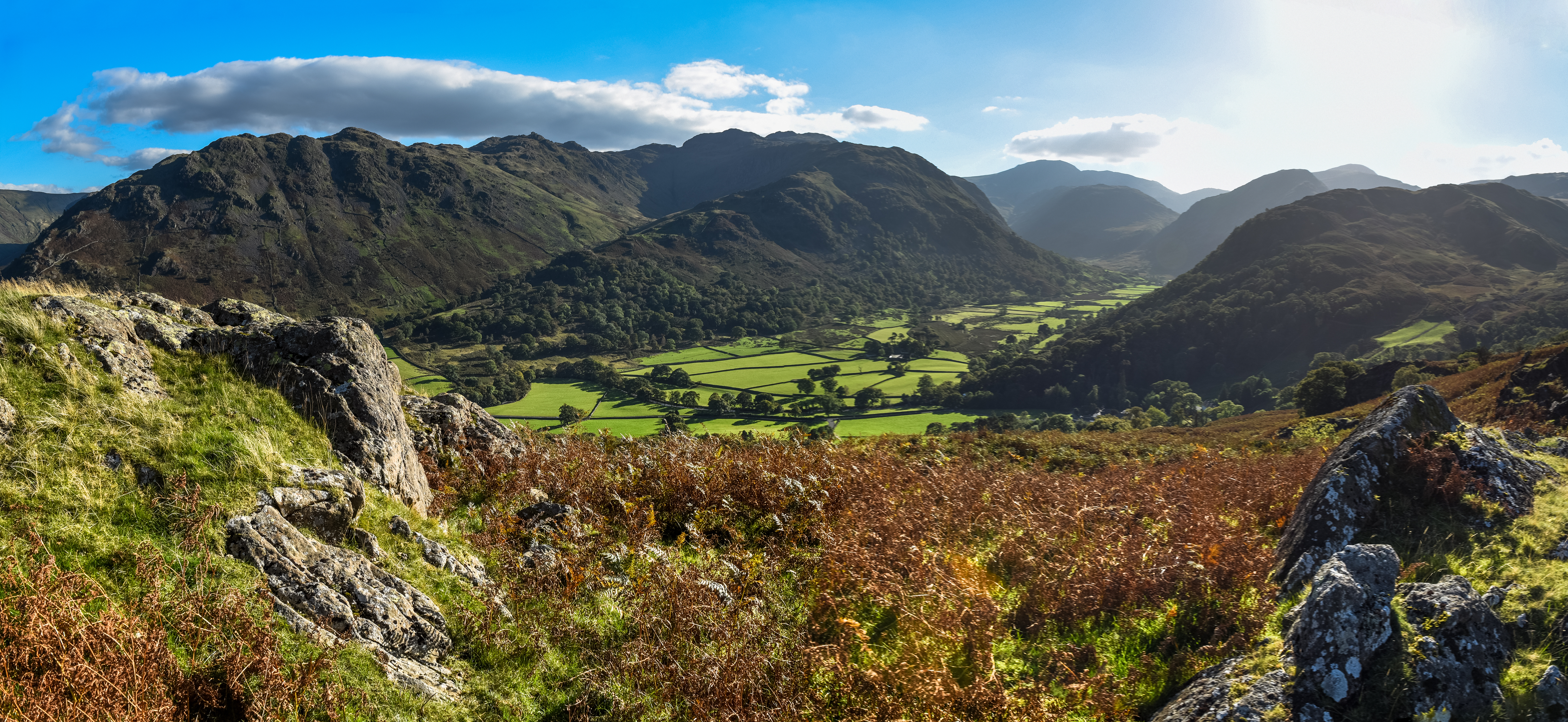 The lichen has been translocated to trees within Borrowdale (National Trust/PA)