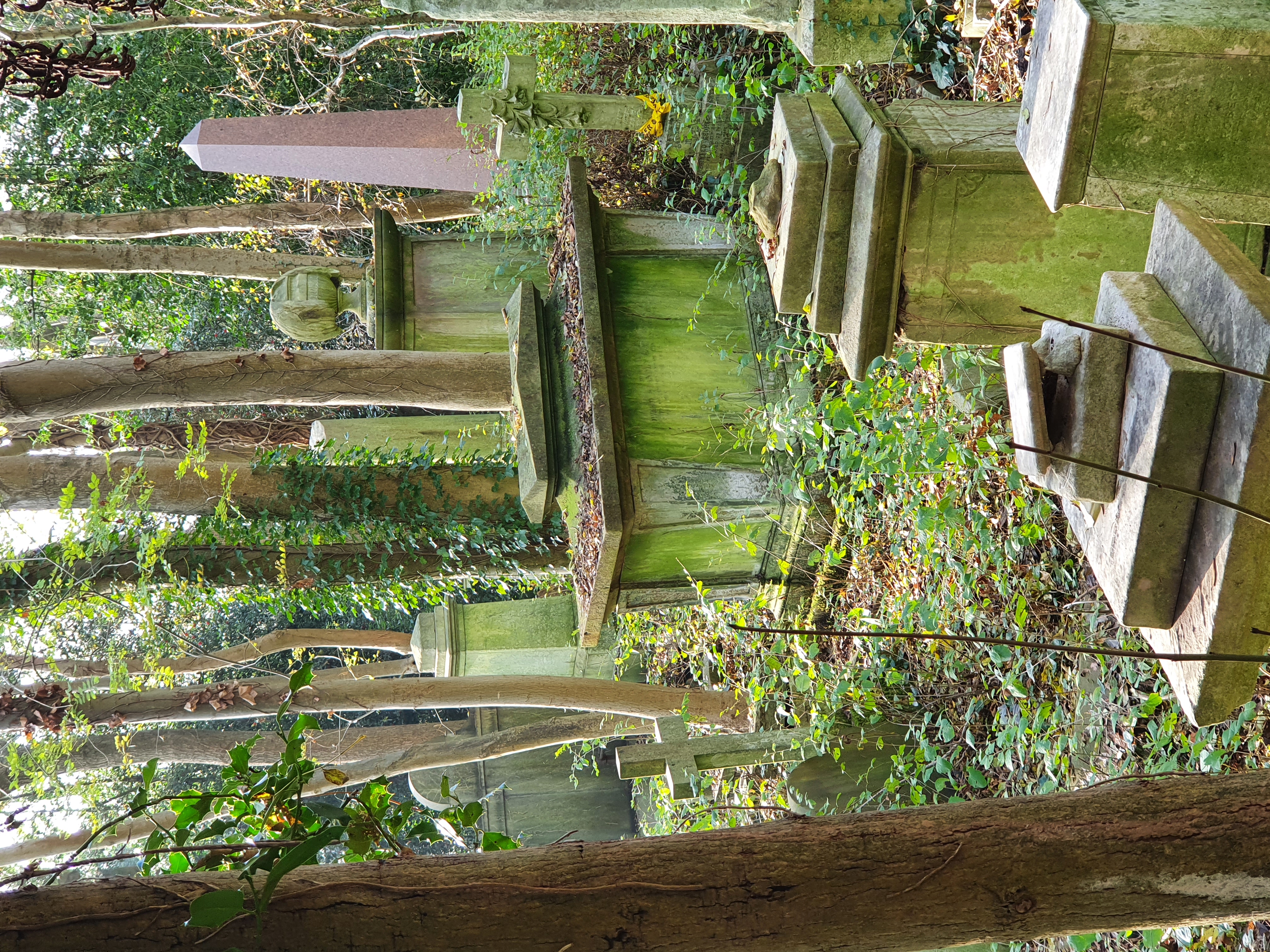 Highgate Cemetery's historic monuments are at risk of decay and overgrown trees (Friends of Highgate Cemetery Trust/PA)