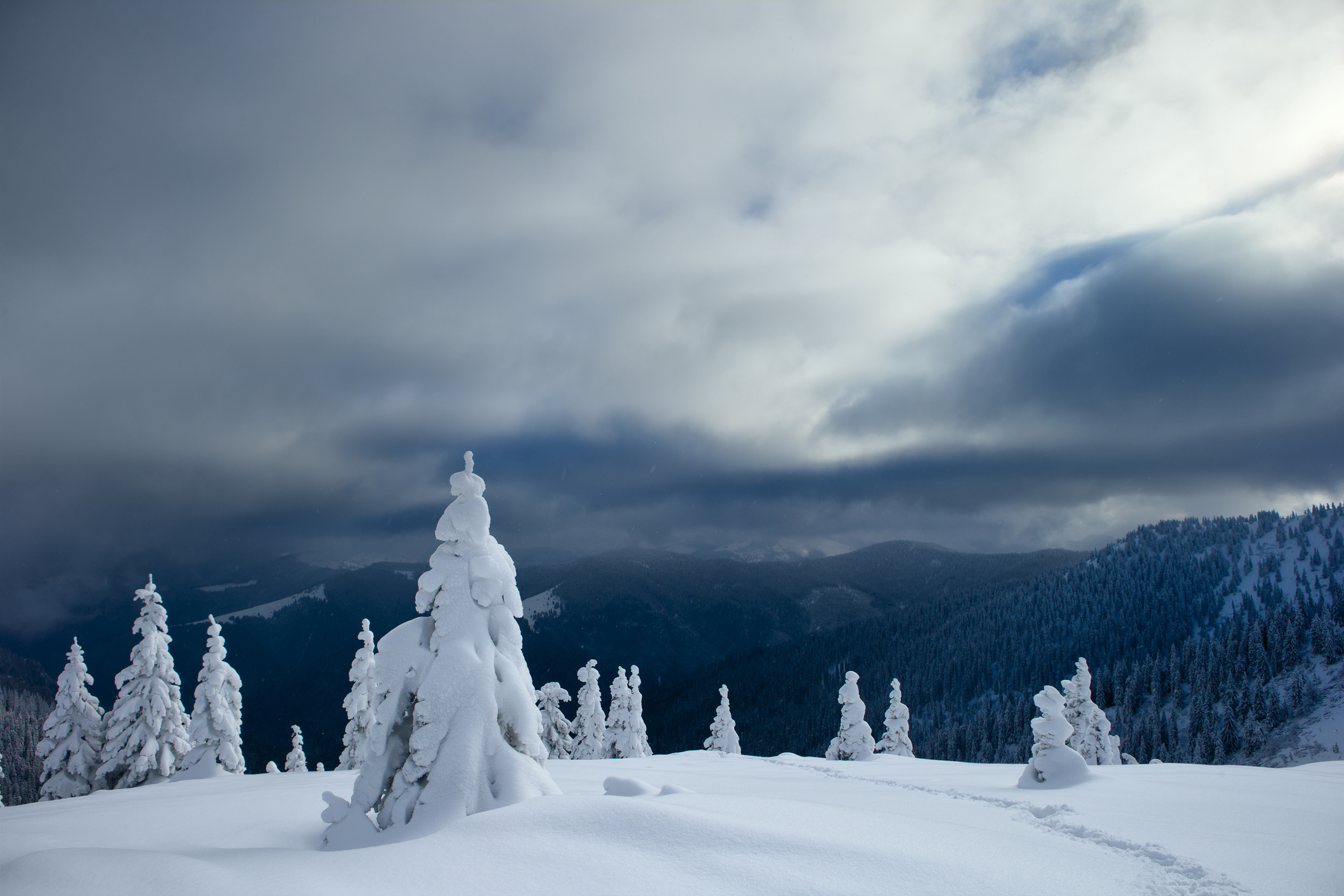 Winter in the mountains, trees covered with snow. beautiful sunlight