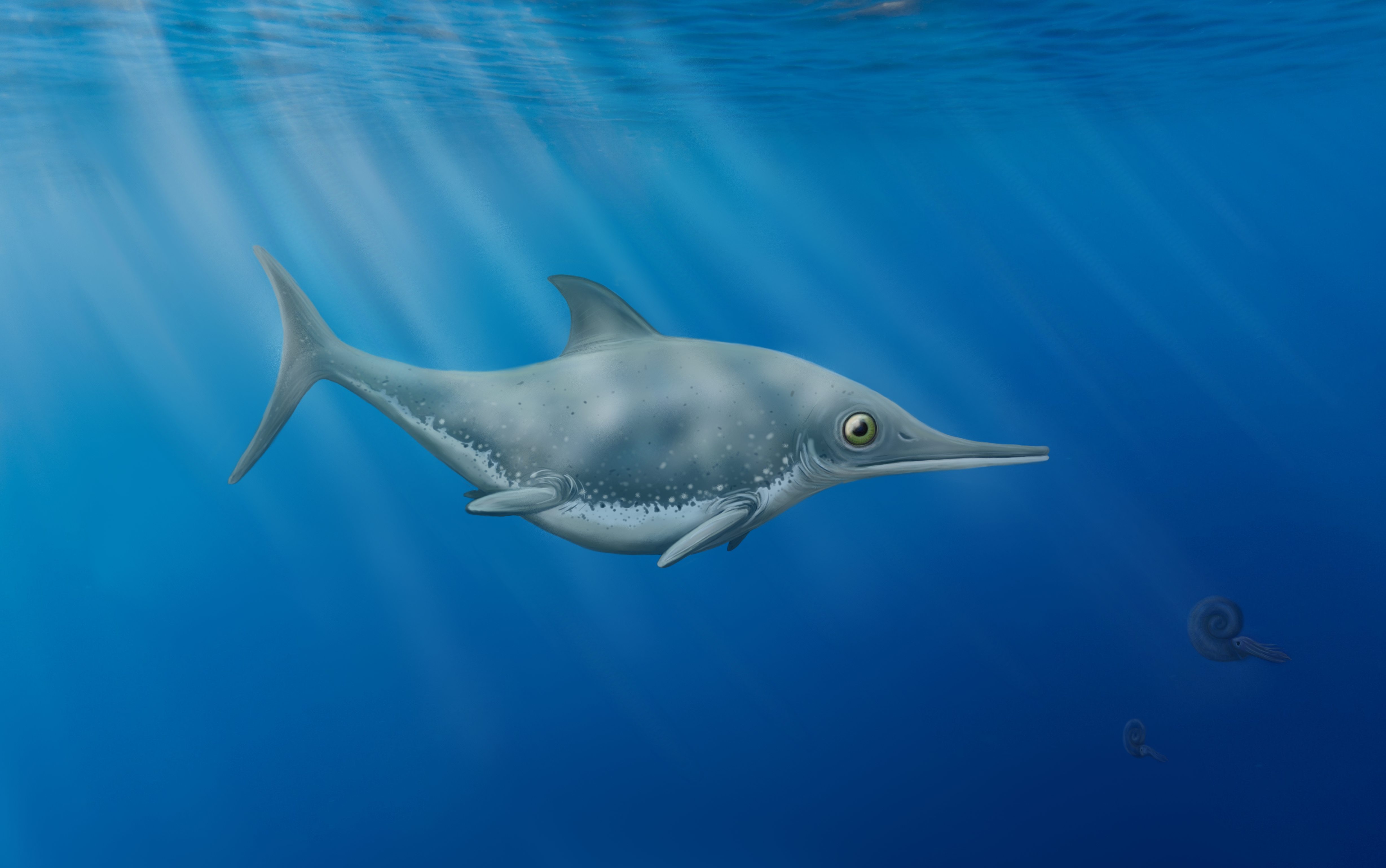 An artist’s impression of the new sea dragon, Thalassodraco etches 