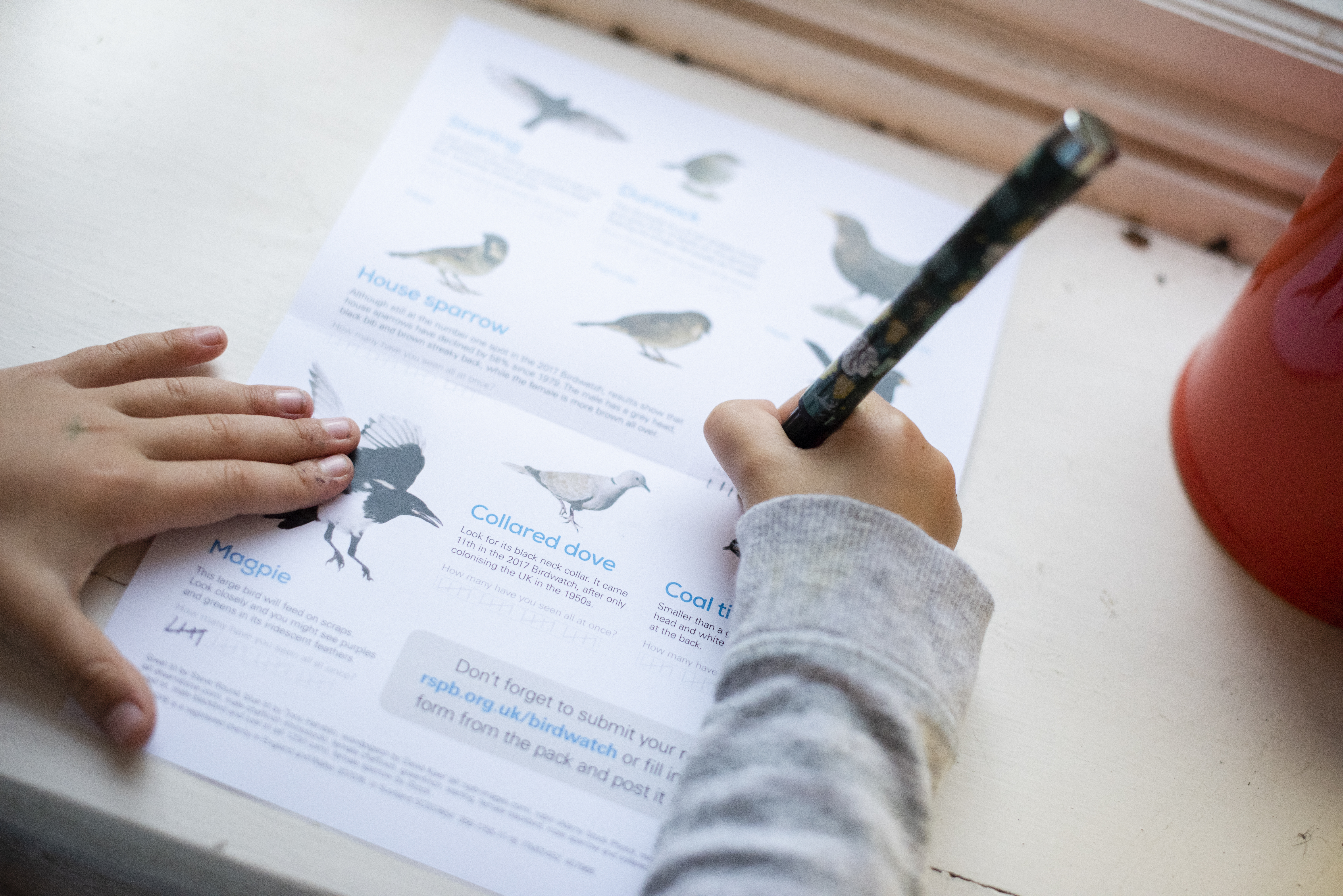 Bird identification form being filled out