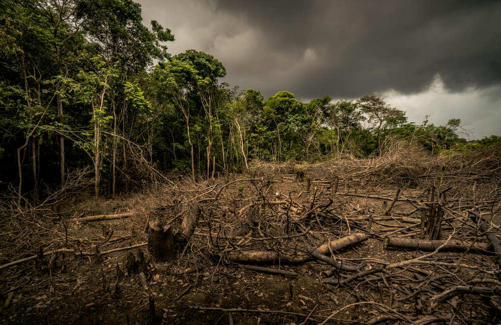 Amazon deforestation in Colombia