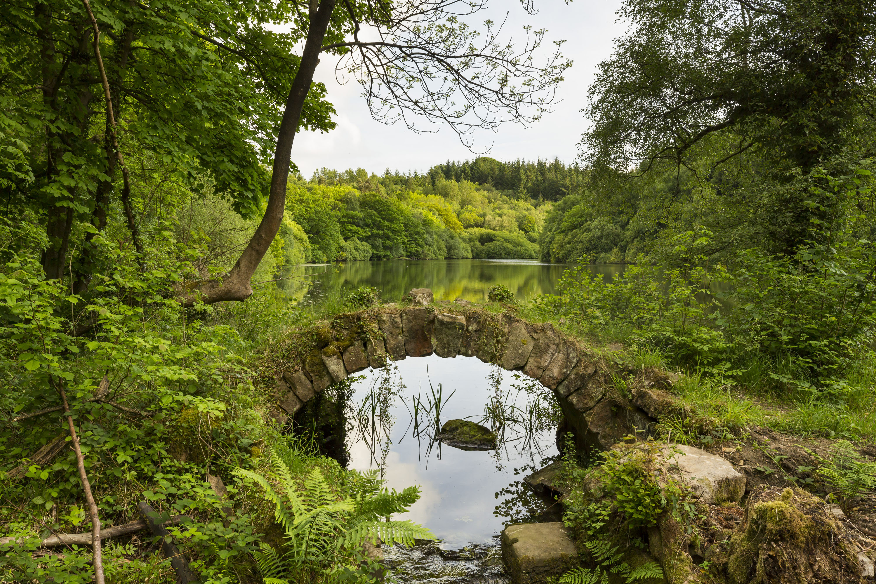 Eavestone Lake from the stone bridge