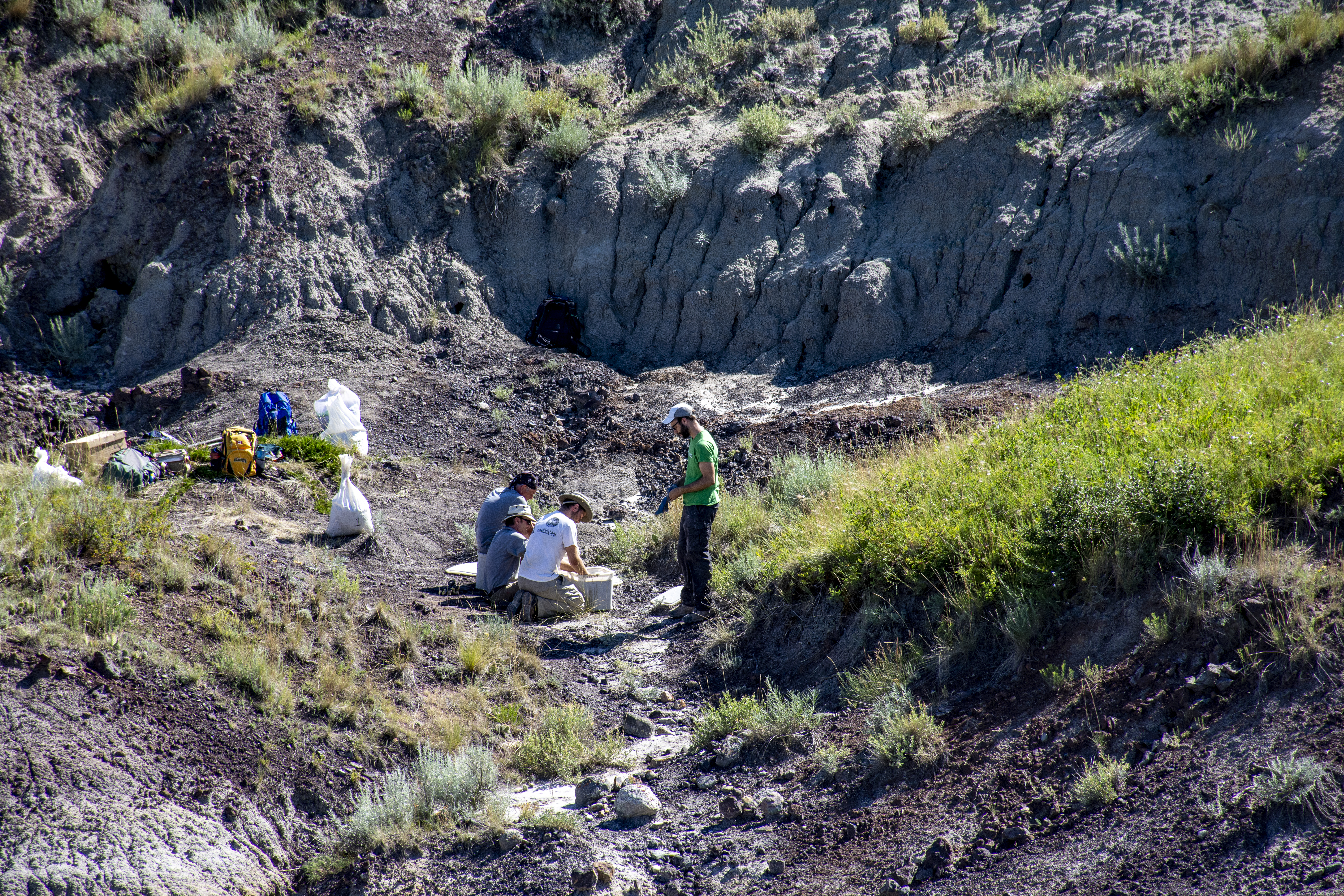 Palaeontologists