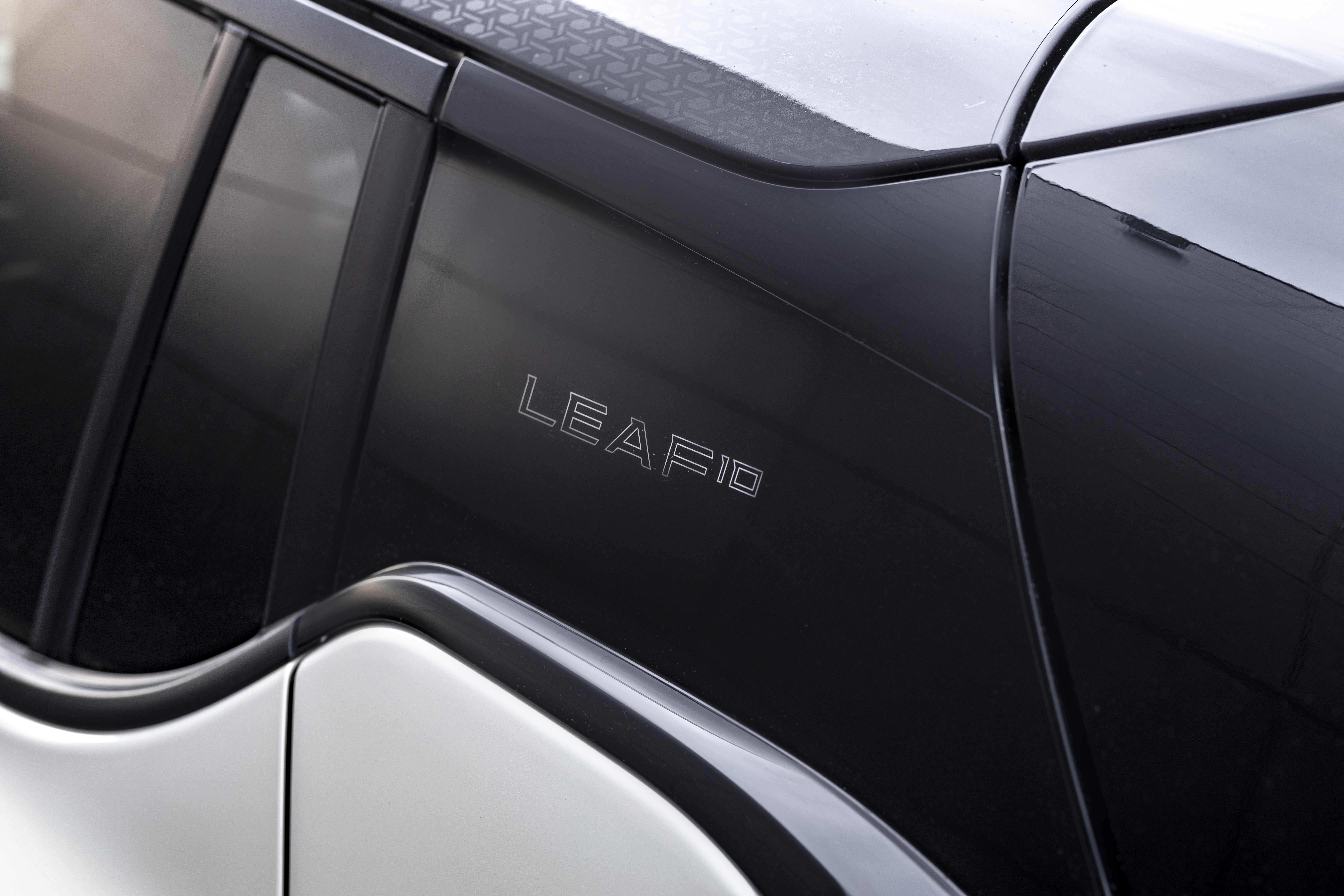 Nissan Leaf 10