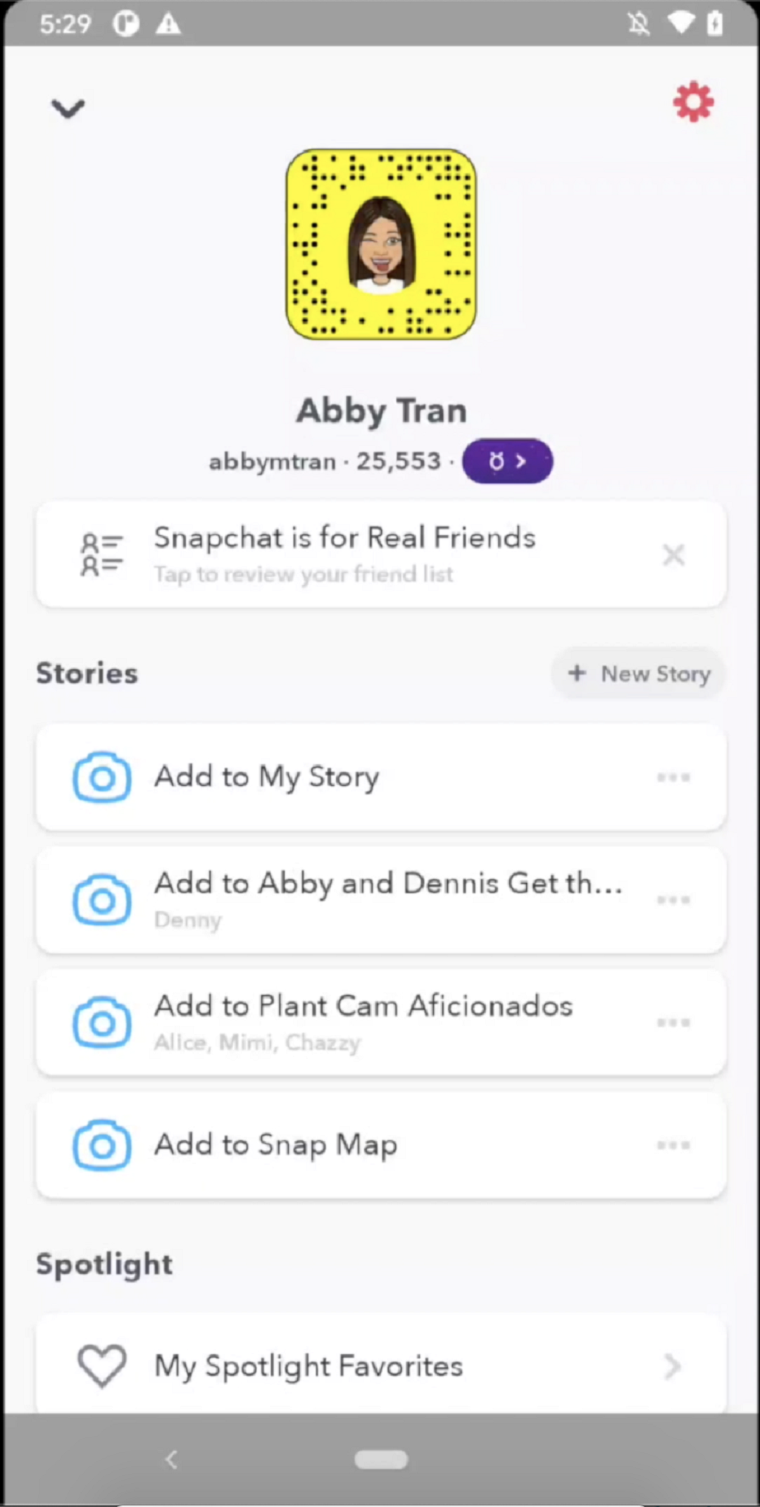 Snapchat's Friend Check Up tool