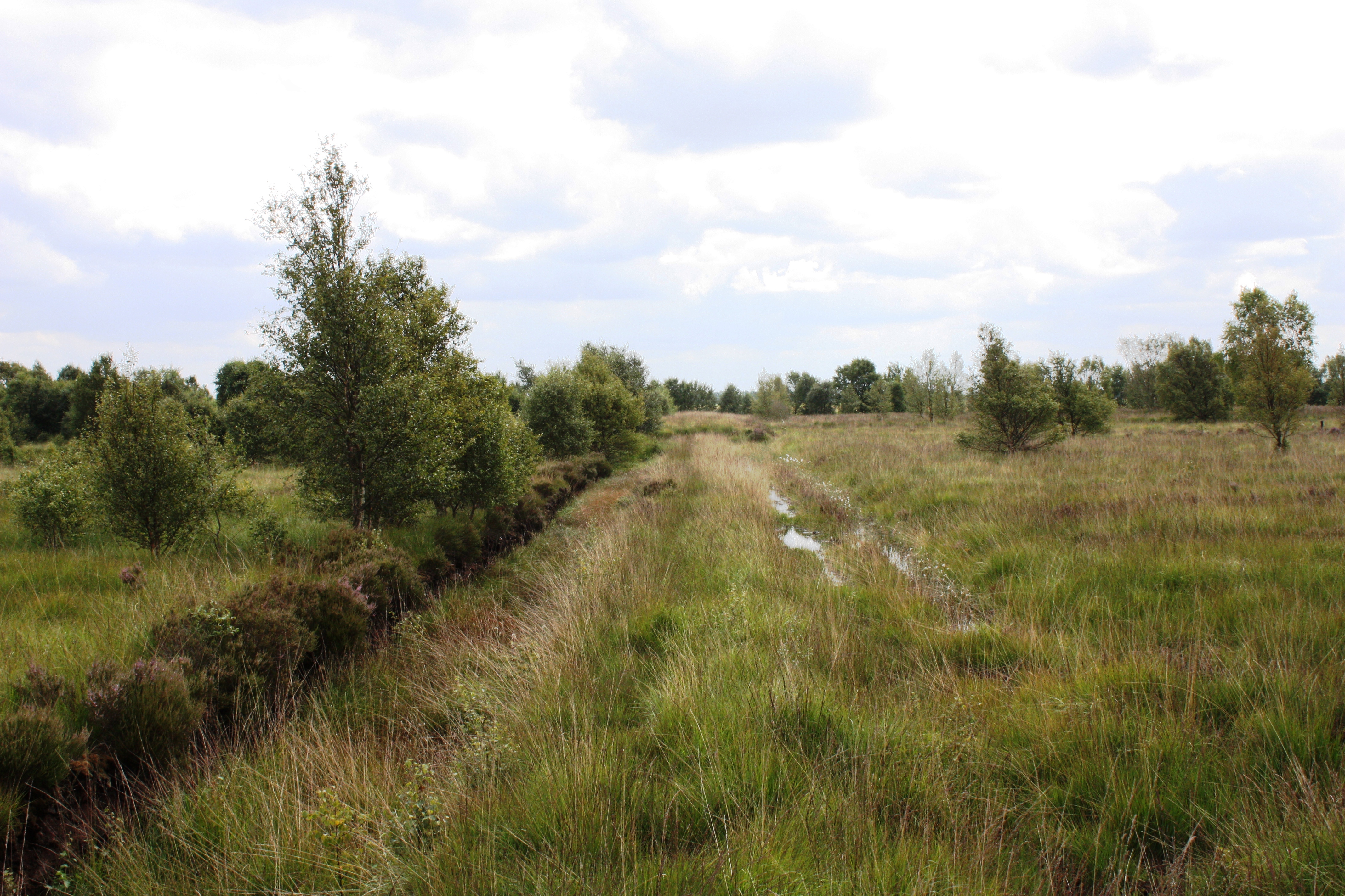 Restored Cadishead Moss near Manchester (Alan Wright/PA)