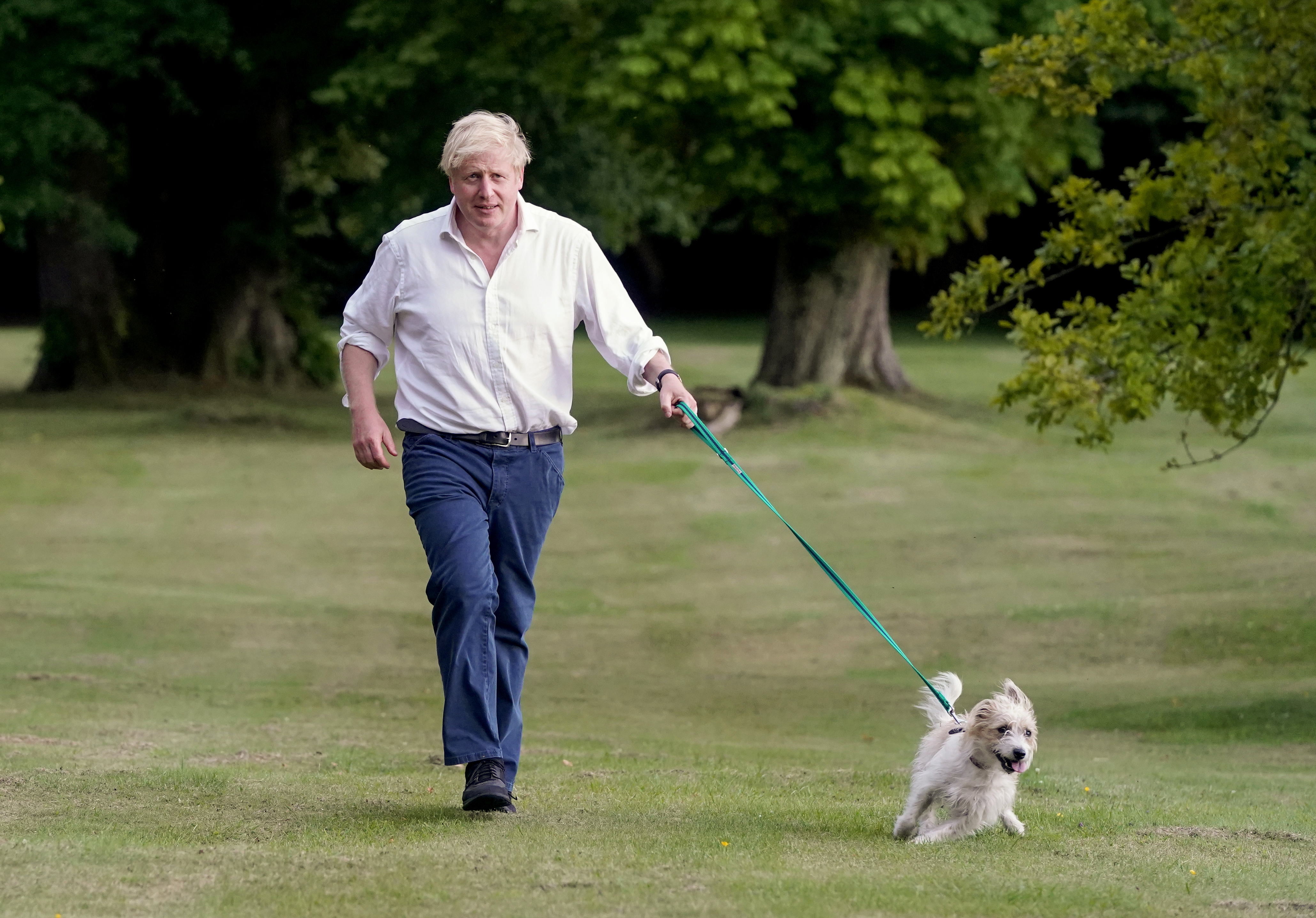 A picture of Boris Johnson with his dog Dilyn taken by taxpayer-funded photographer Andrew Parsons