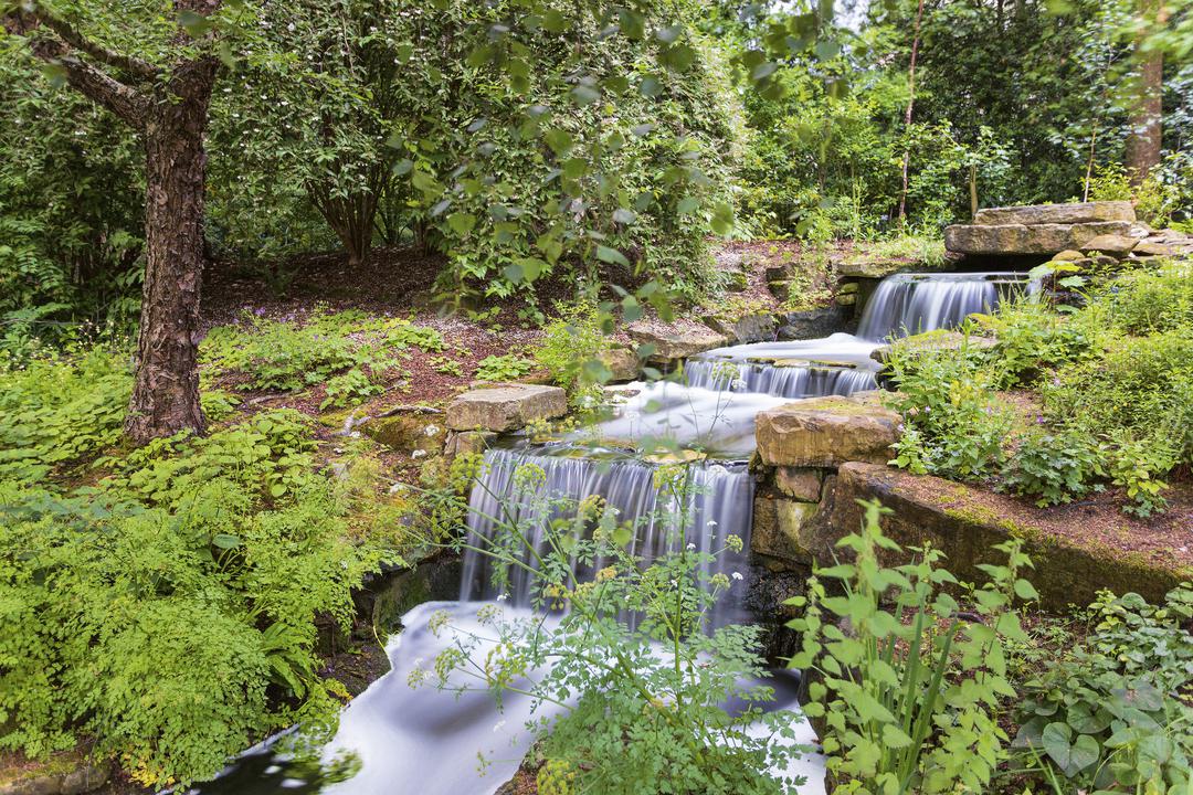 The garden’s waterfall 