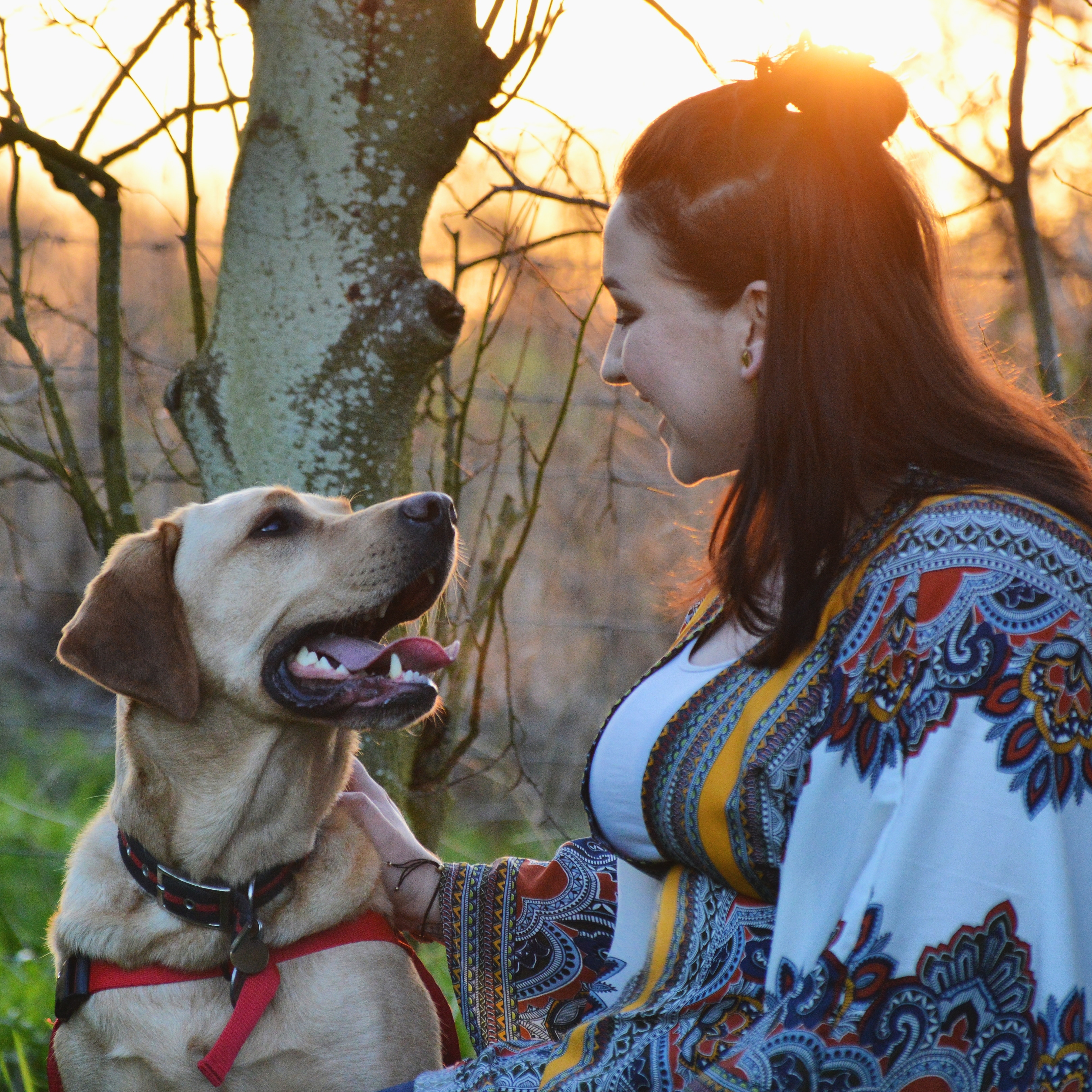 Henry the Labrador looks lovingly at his owner Lizzie (MDD/PA)