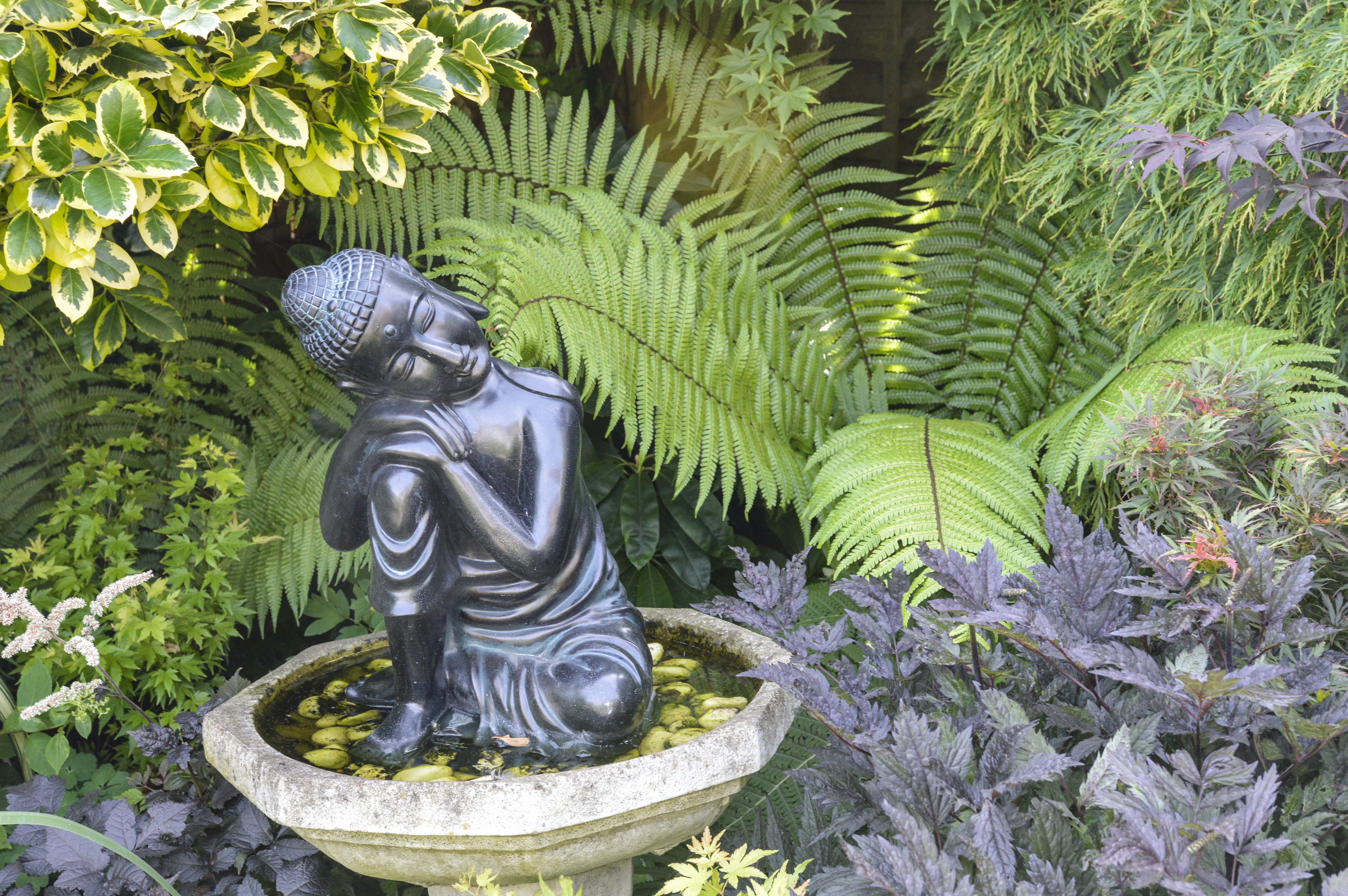 Buddha nestling into a fern at 24 Bede Crescent, Tyne & Wear (Susie White/PA)
