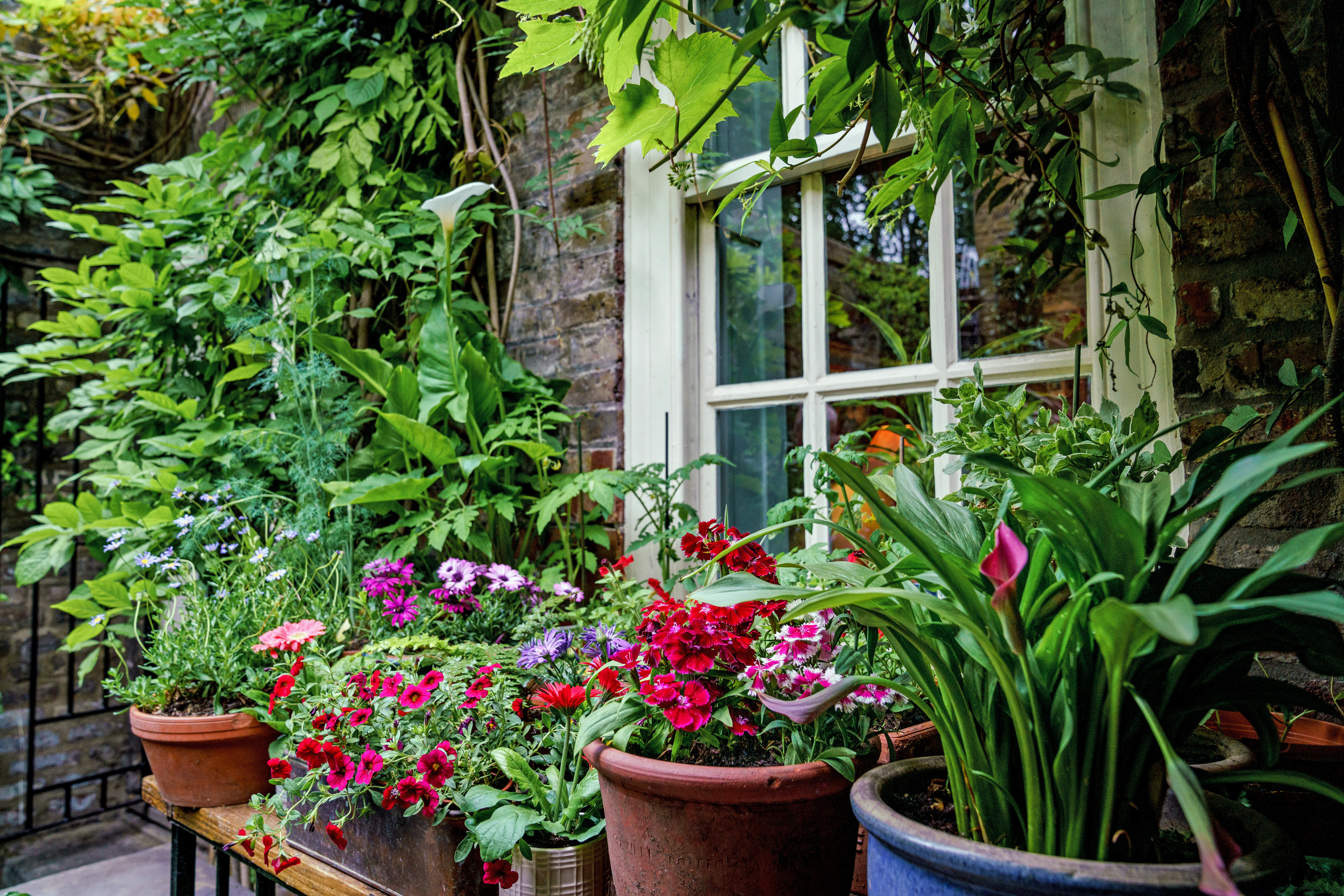 Colourful pots fringe a window at a courtyard garden in Spitalfields Gardens (Julie Skelton/PA)