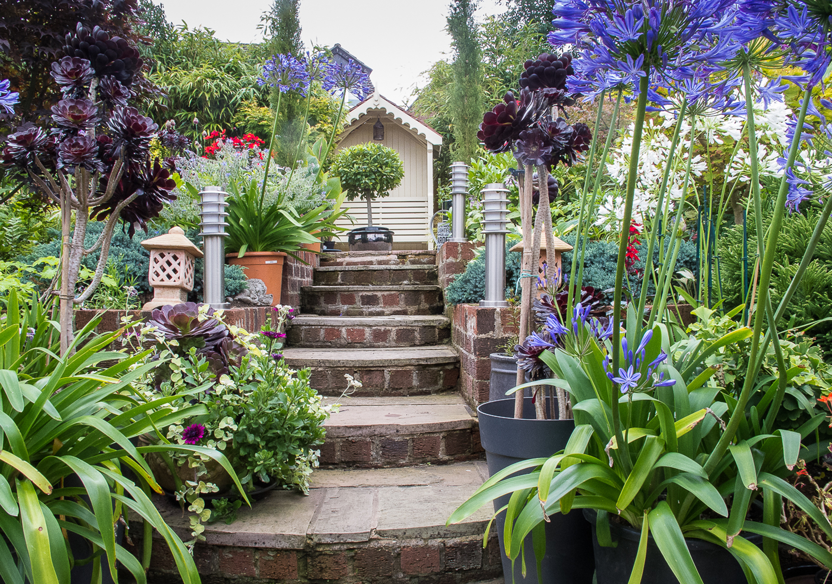 Terraced garden fringed with agapanthus in 18 Highfield Road, Cheshire (John Hinde/PA)