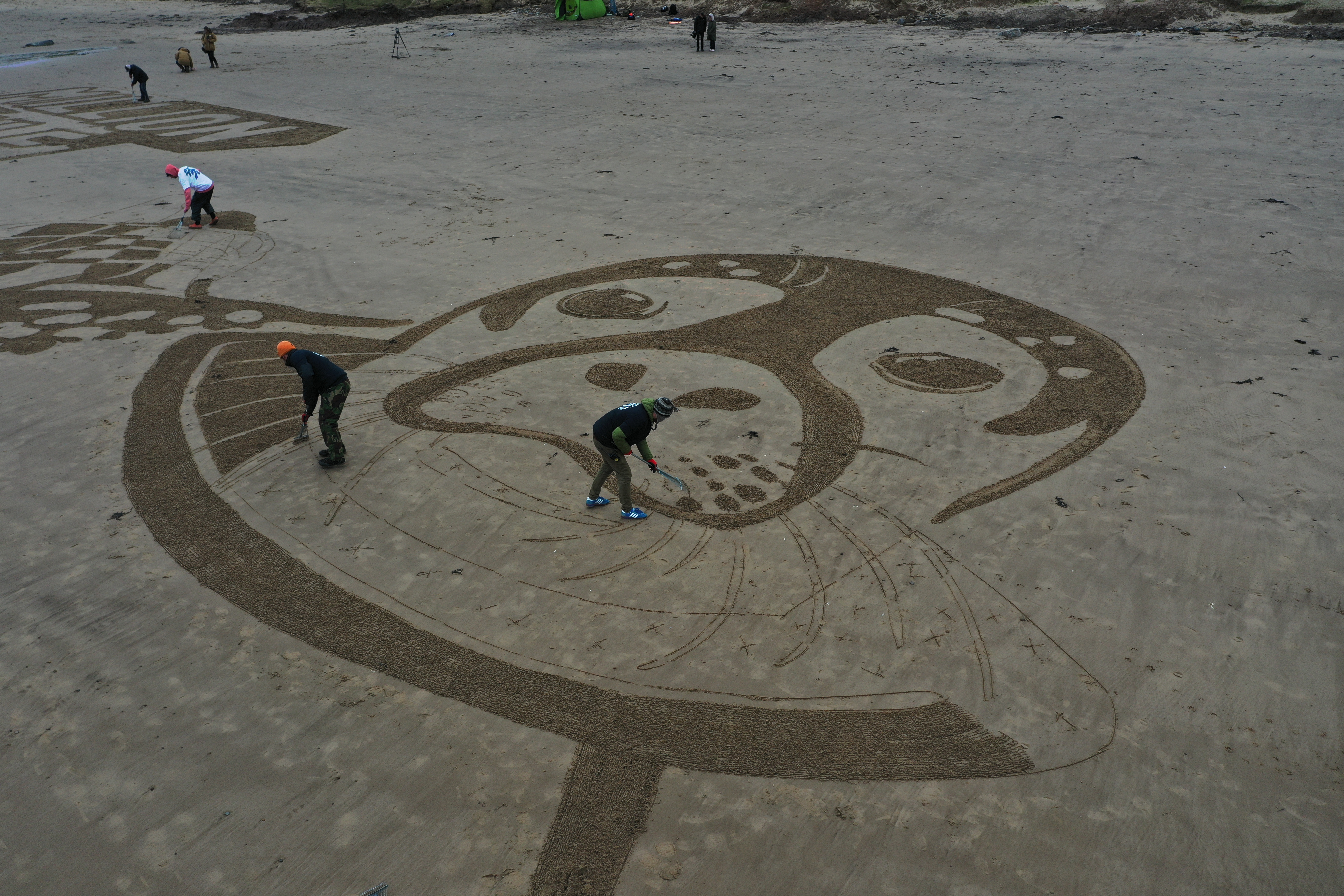 Members of the team creating the sand drawing work on the seal's face