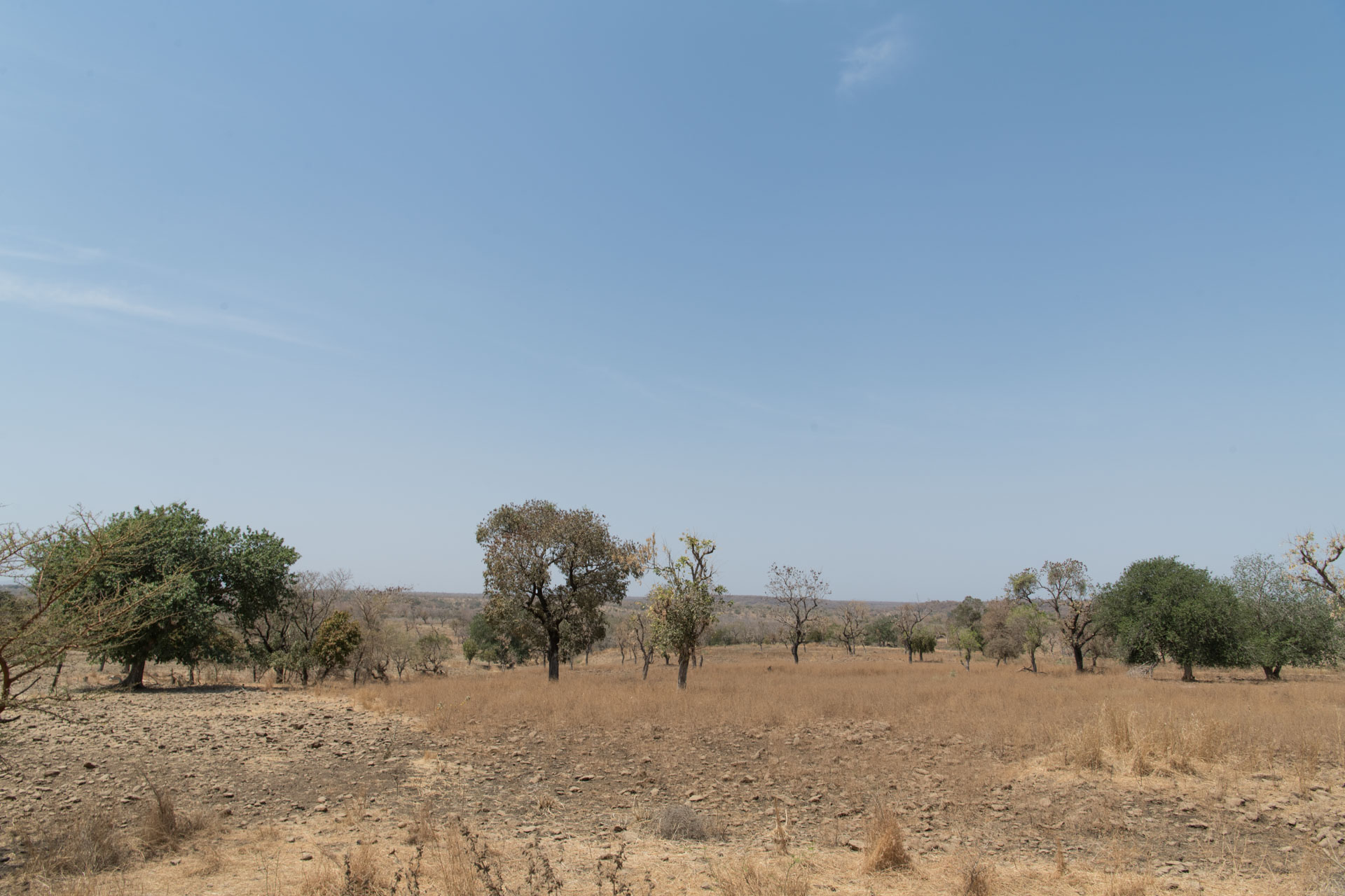 A landscape in West Gonder, Ethiopia, where the project will take place ( Maheder Haileselassie/Tree Aid/PA)