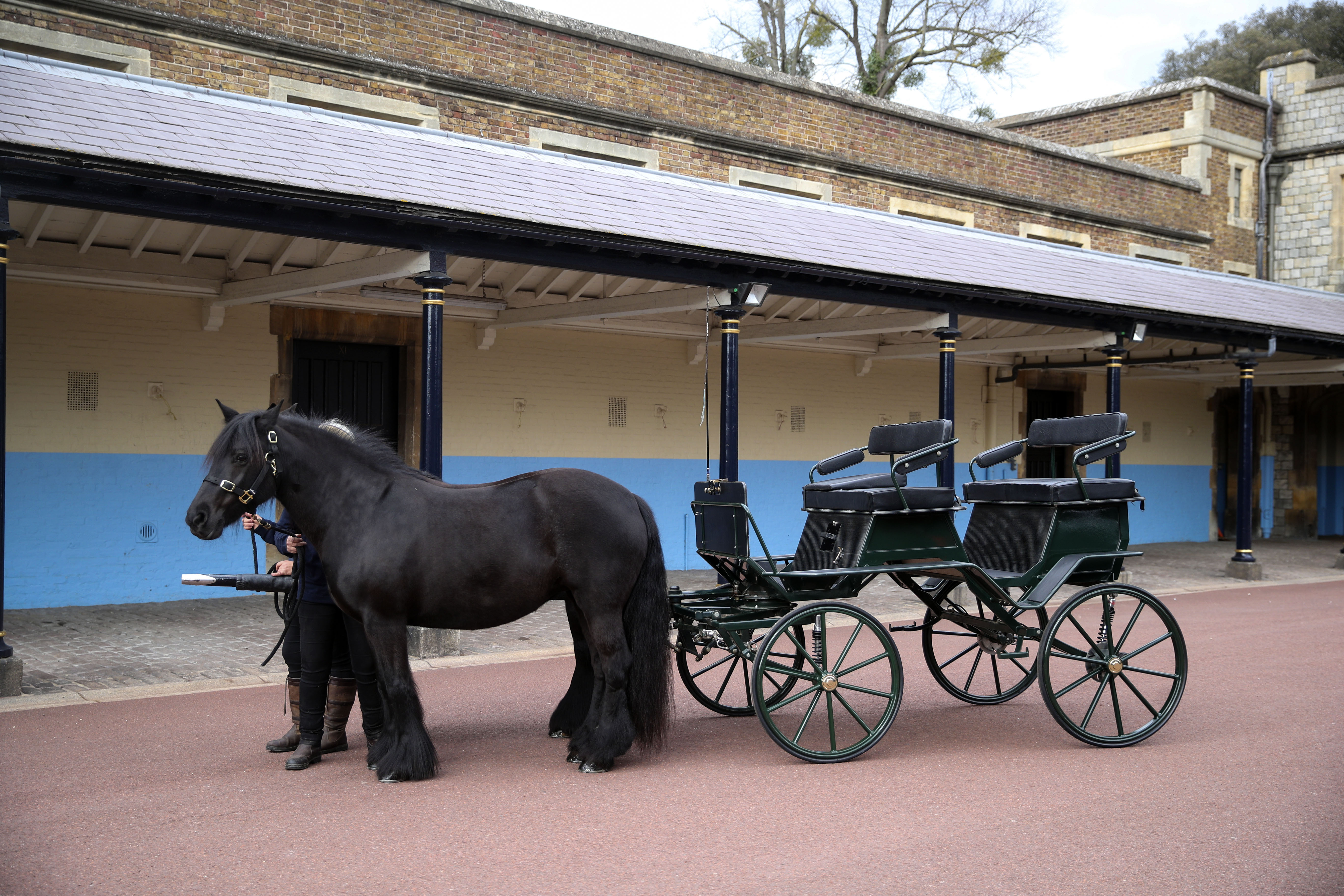 Balmoral Nevis and Notlaw Storm with the carriage