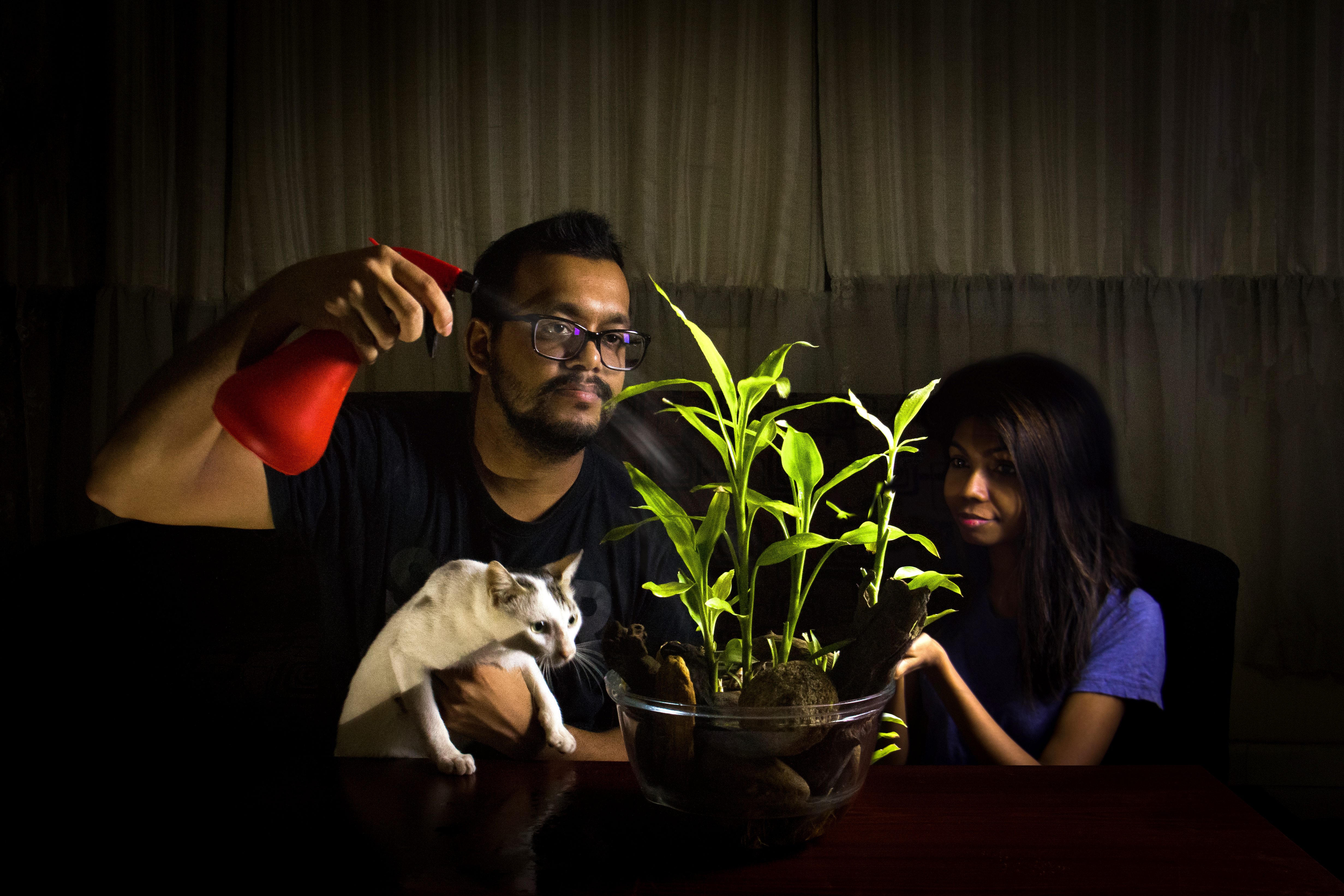 The winning image in the new indoor gardening category titled 'time with terrarium', and taken in Colombo, Sri Lanka (Weerasinghe Tilan/RHS/PA