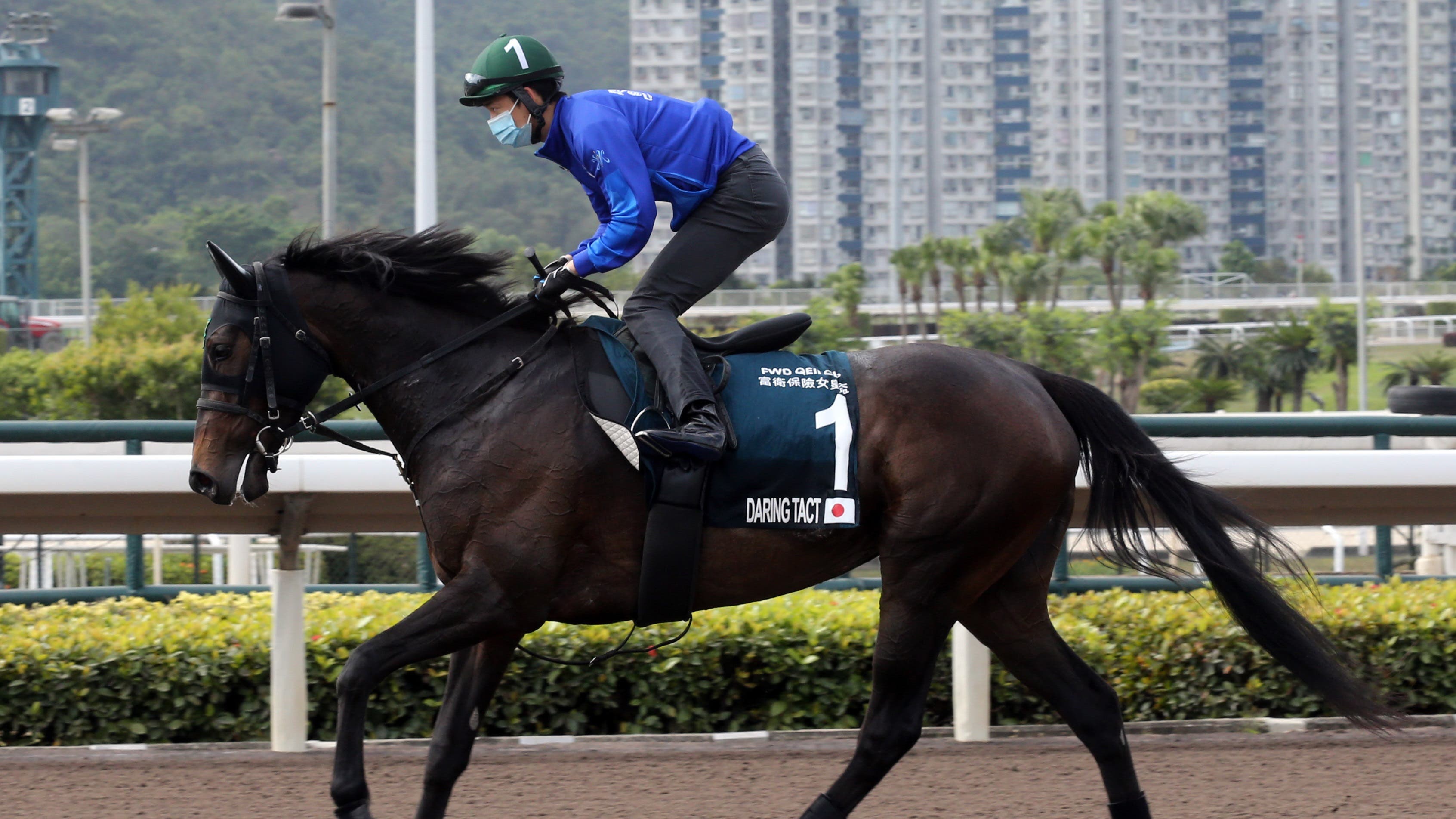 Japanese star Daring Tact ready for Hong Kong debut - Vimarsana News