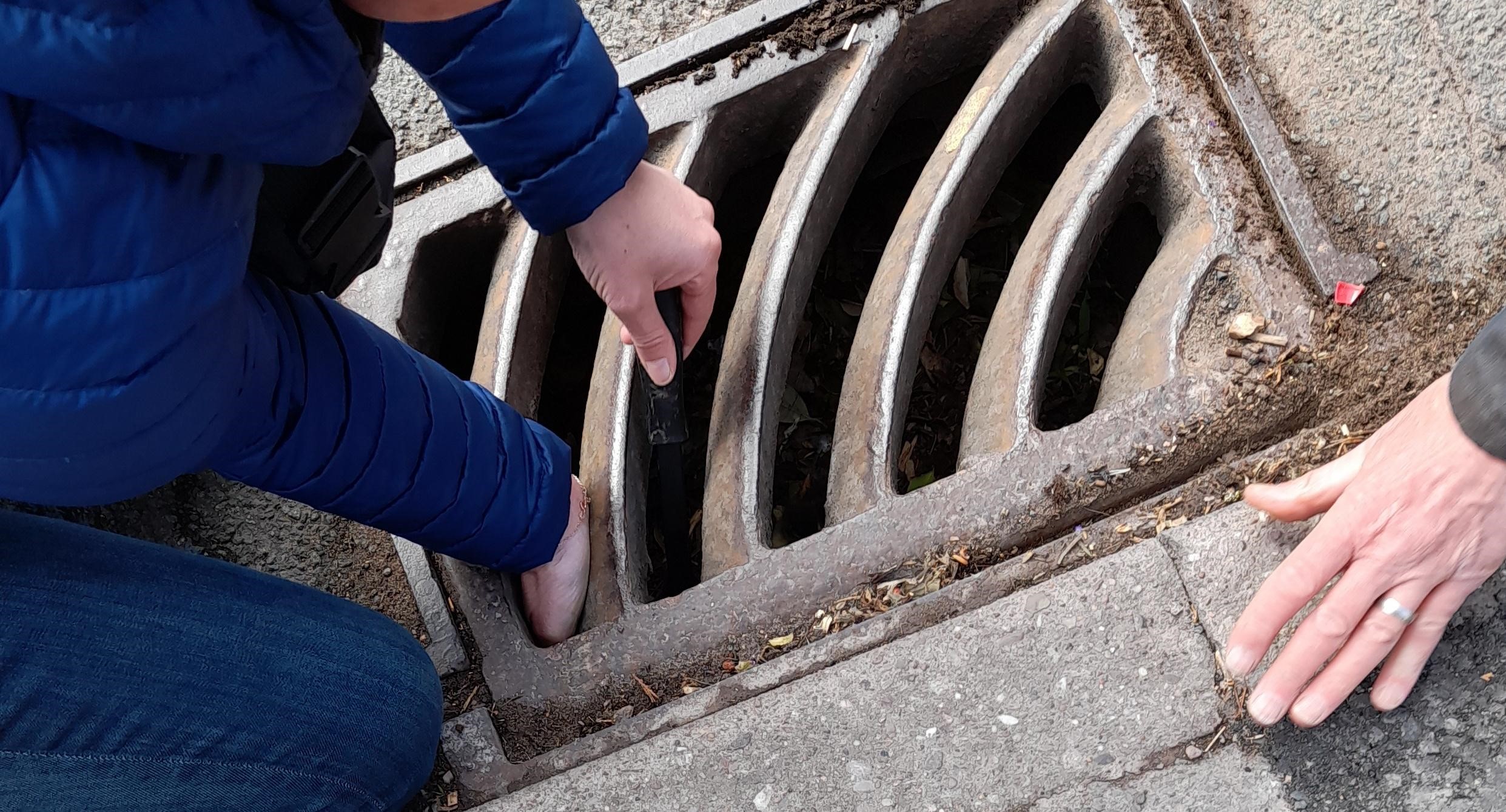 People attempt to retrieve ducklings from under a grate