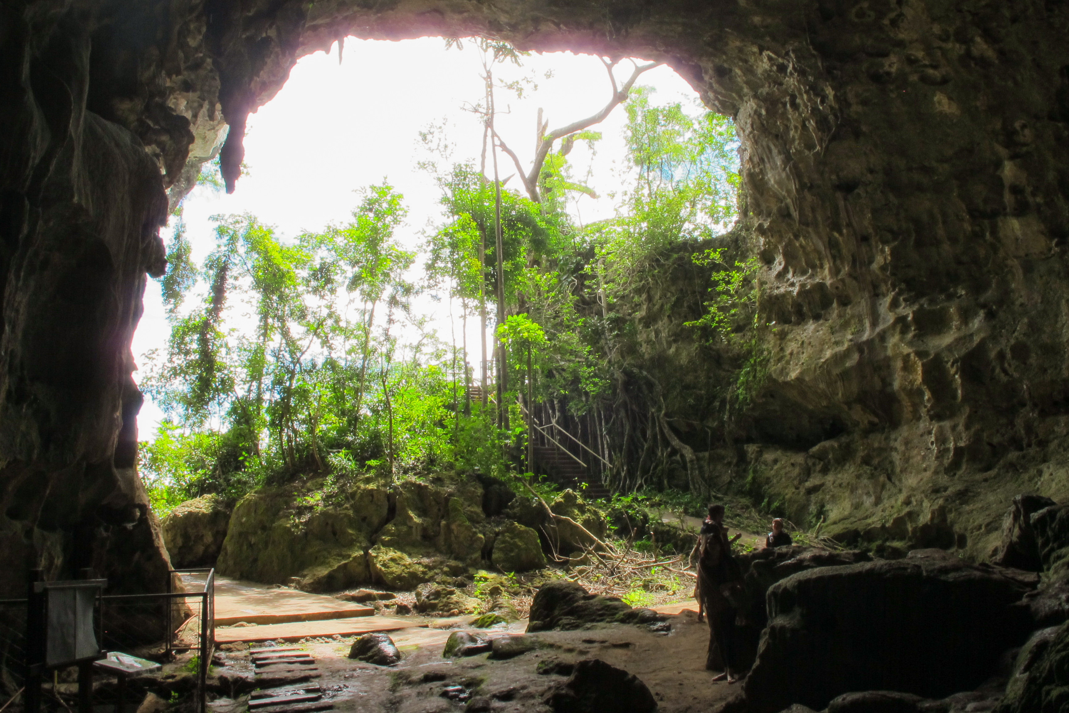 Callou Cave site where the fossils were found