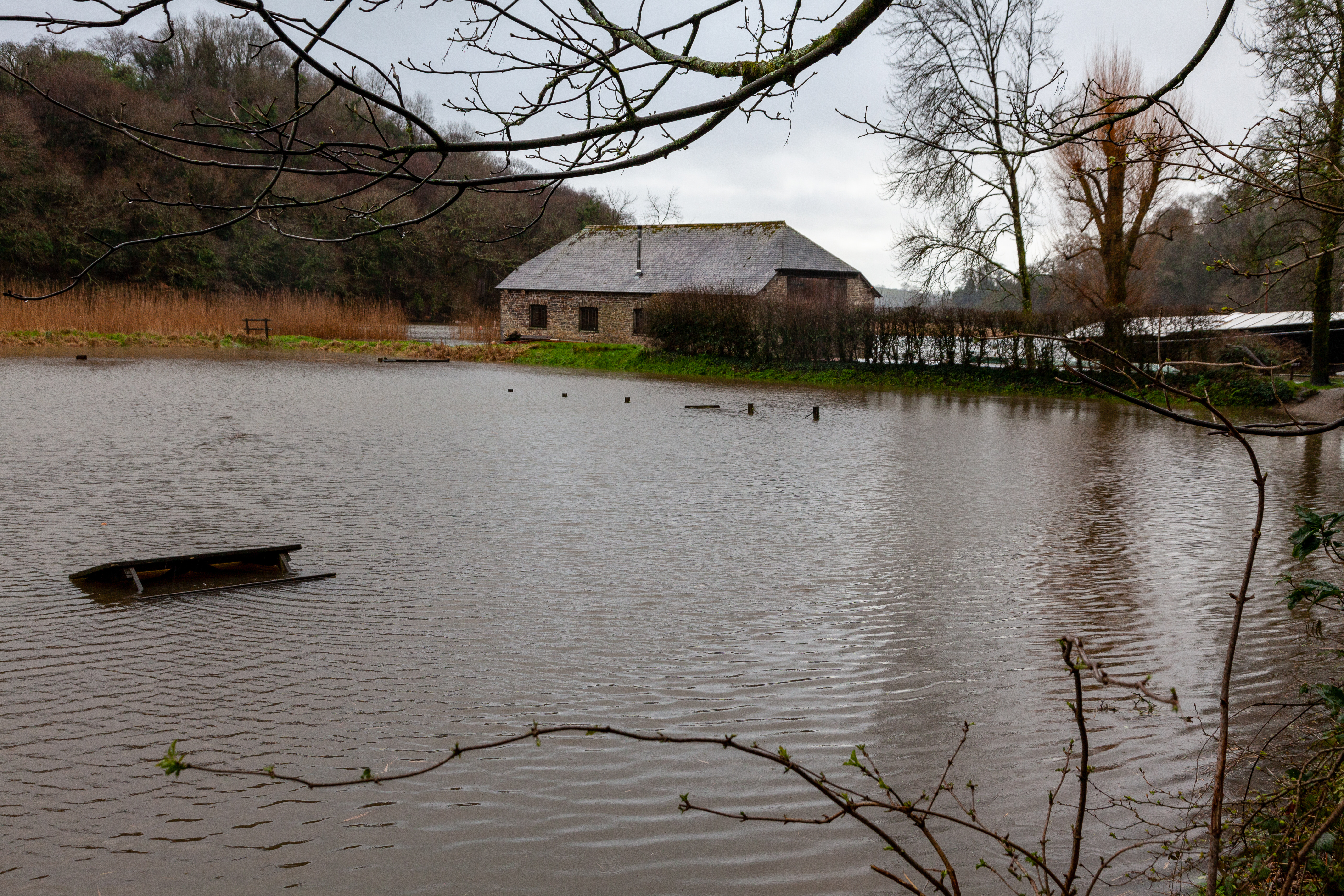 Flooding at Cotehele, Cornwall in February 2020