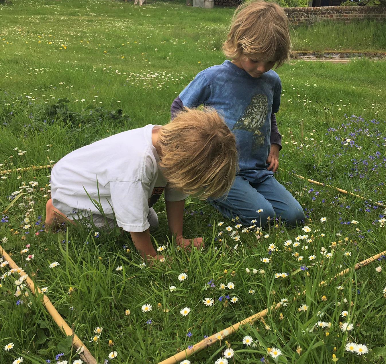 Two boys counting daisies in a quadrat for 'every flower counts' survey (Archie Thomas/Plantlife/PA)