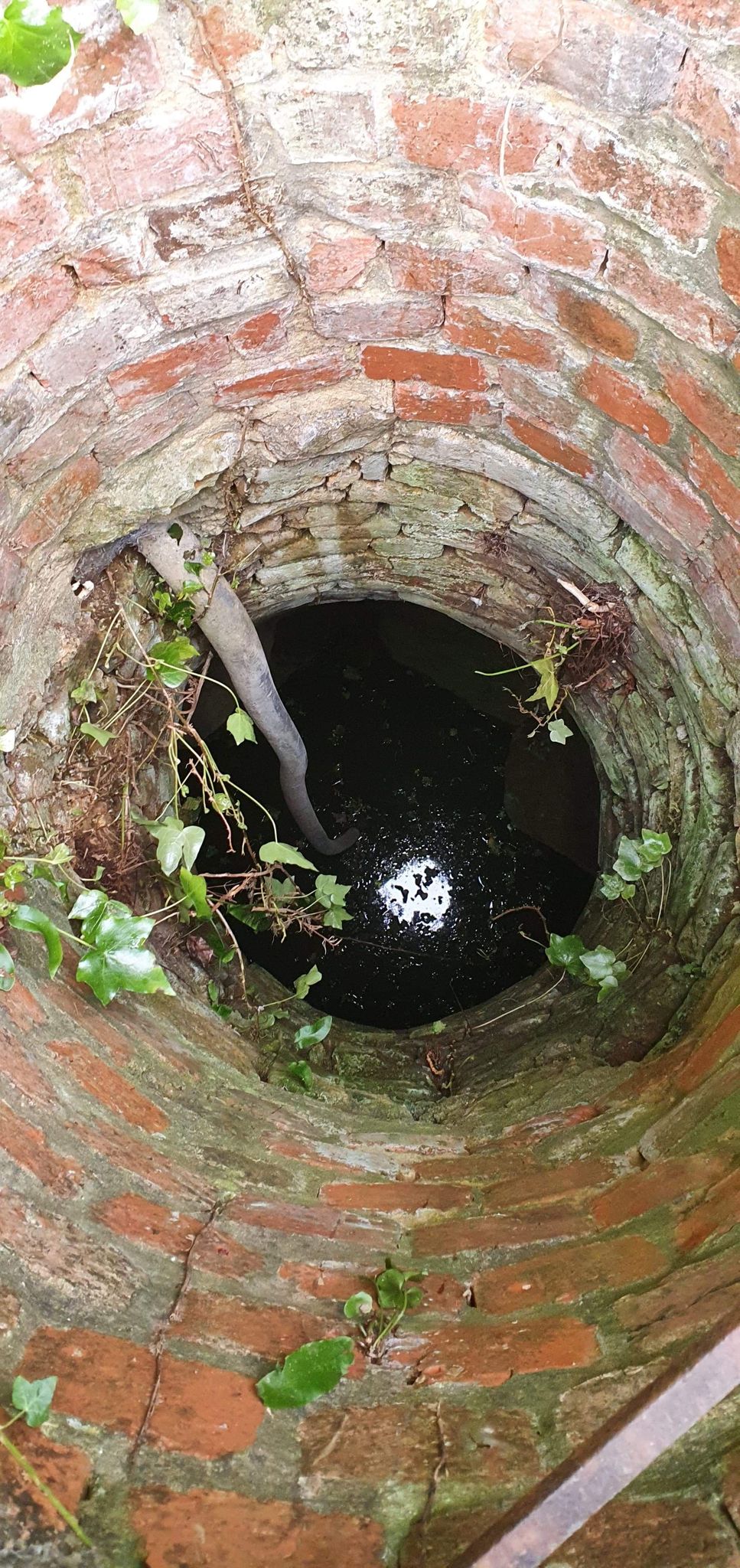 The well down which Flea was stuck