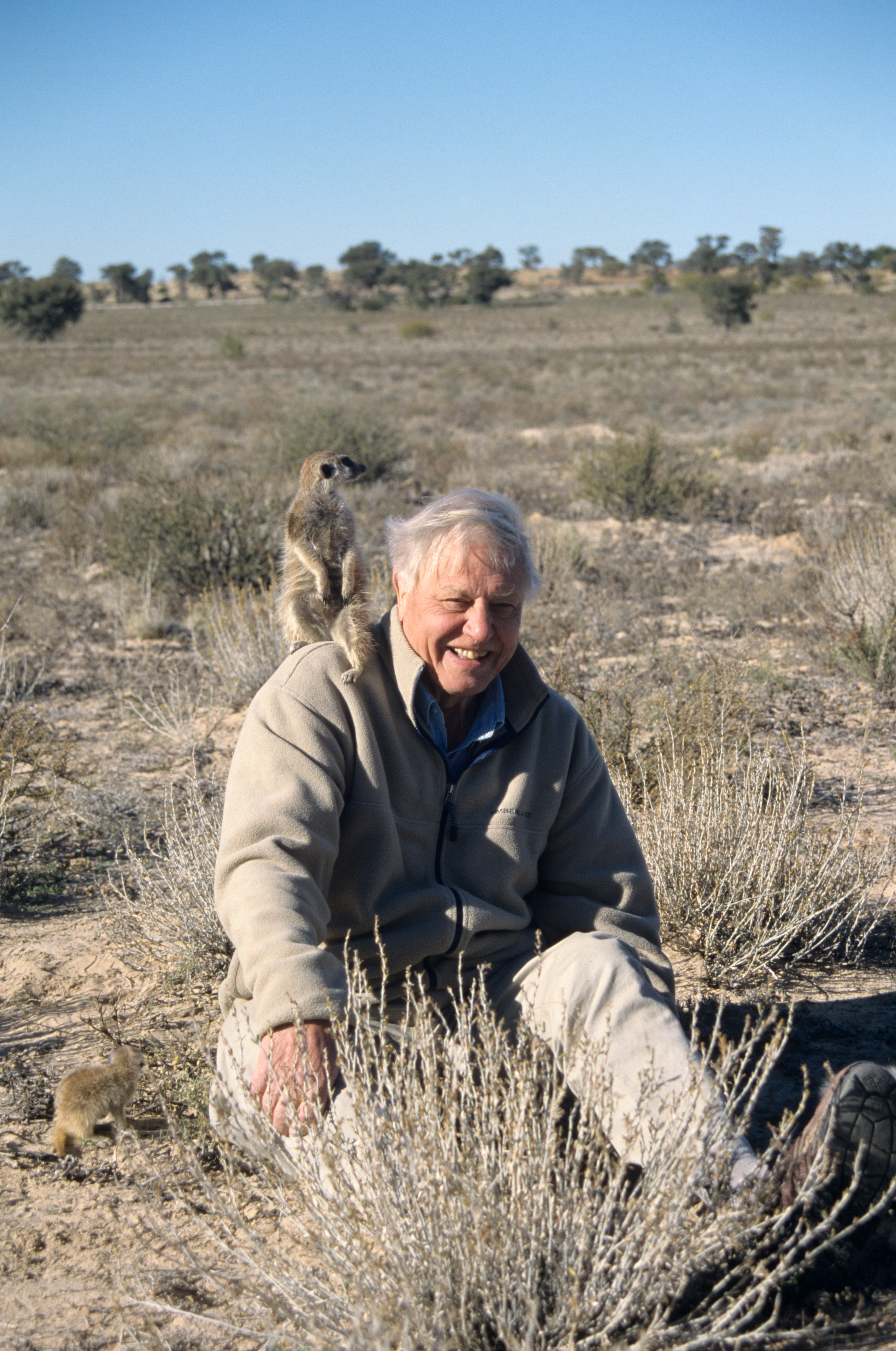 Sir David Attenborough with meerkat on shoulder for The Life of Mammals, Kalahari Desert, South Africa 