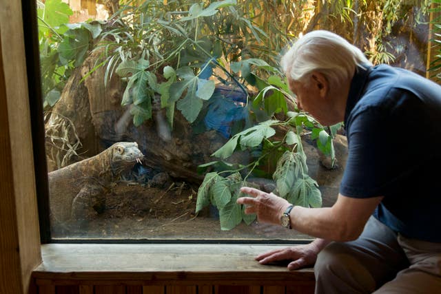 Happy 95th Birthday David Attenborough - More Radio