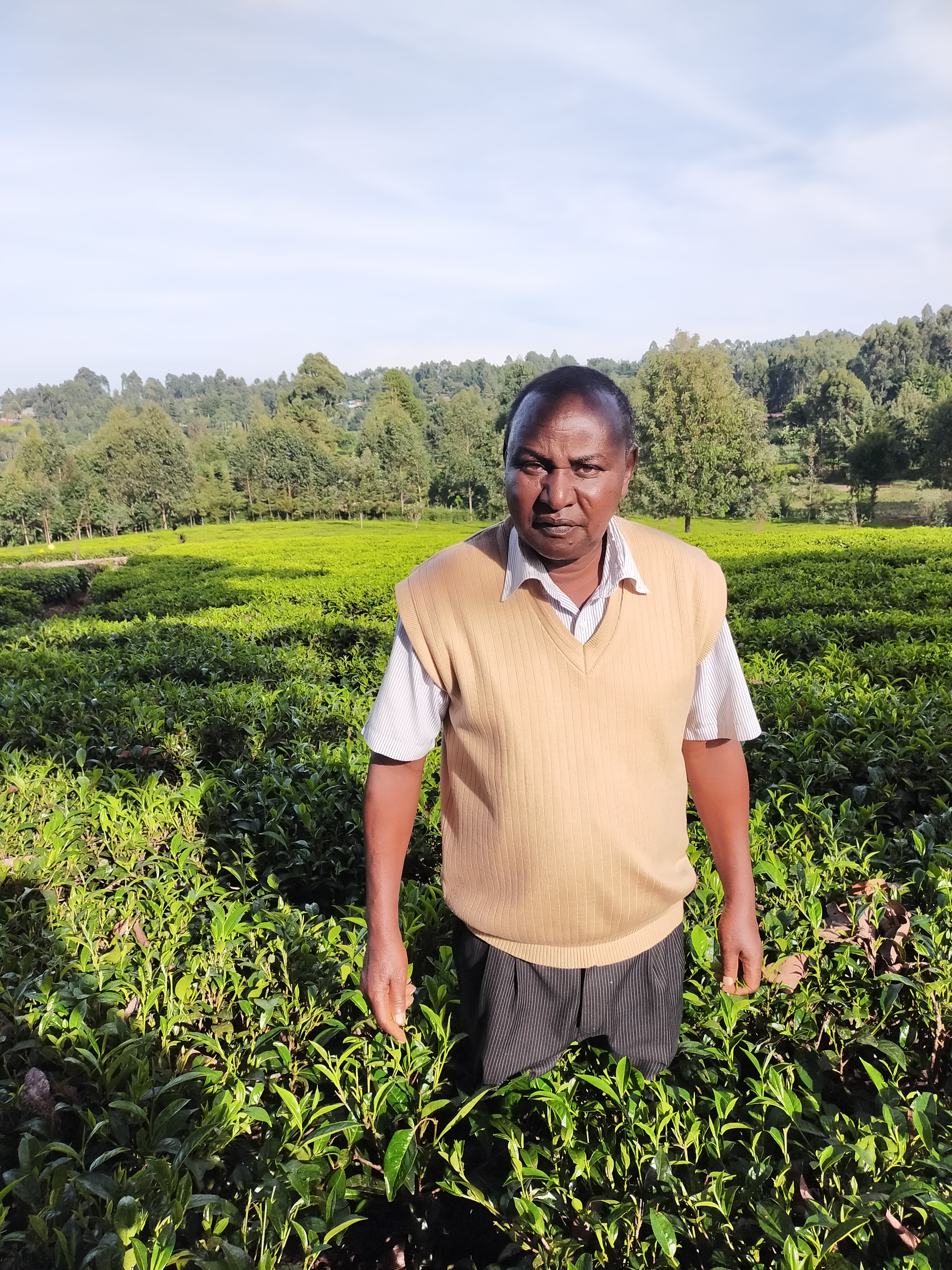 Richard Koskei, 72, a tea farmer from Kericho, in Kenya’s Western Highlands