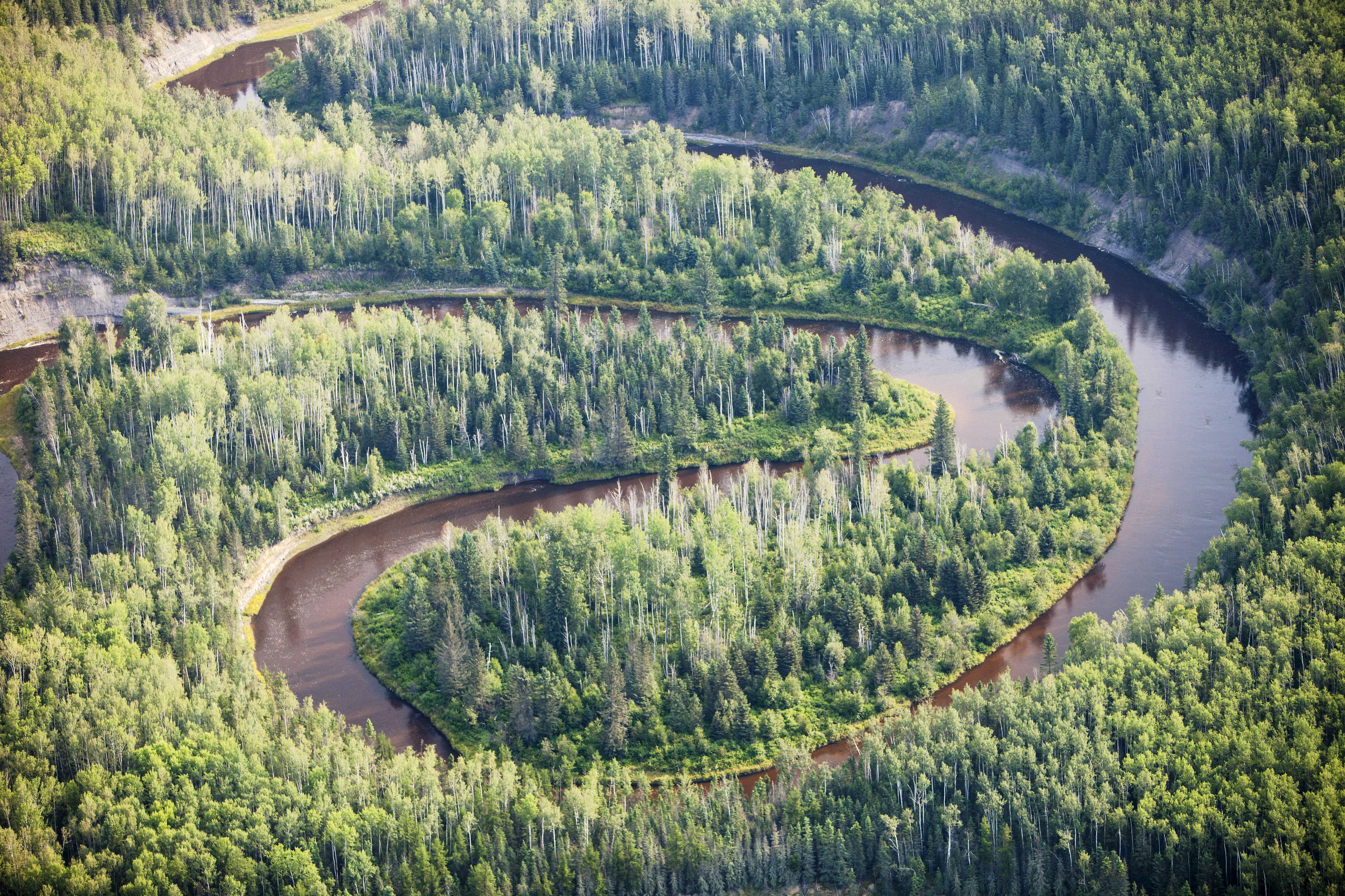 A river winds through boreal forest in Northern Alberta, Canada near Fort McMurray 