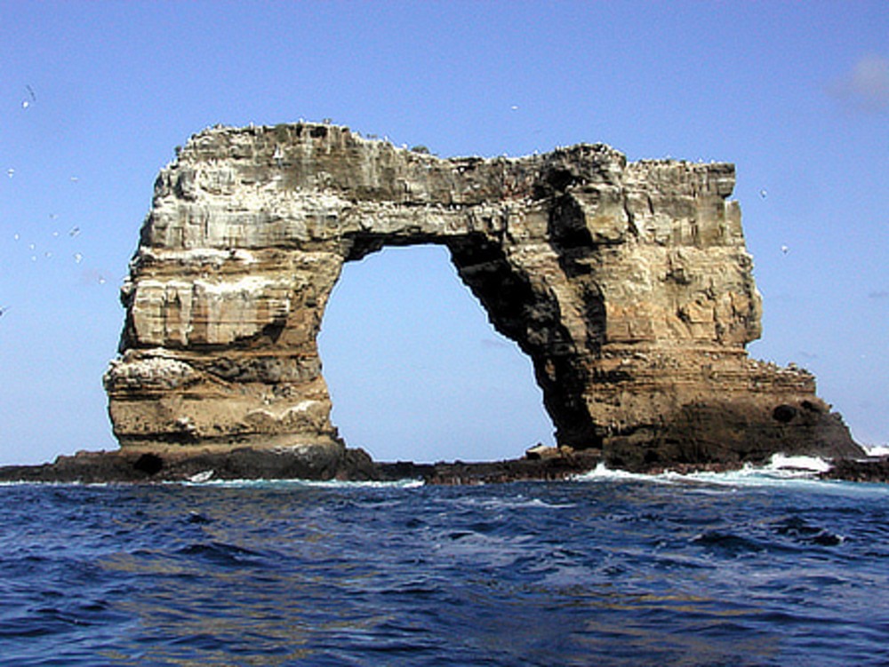 Darwin's Arch before the collapse