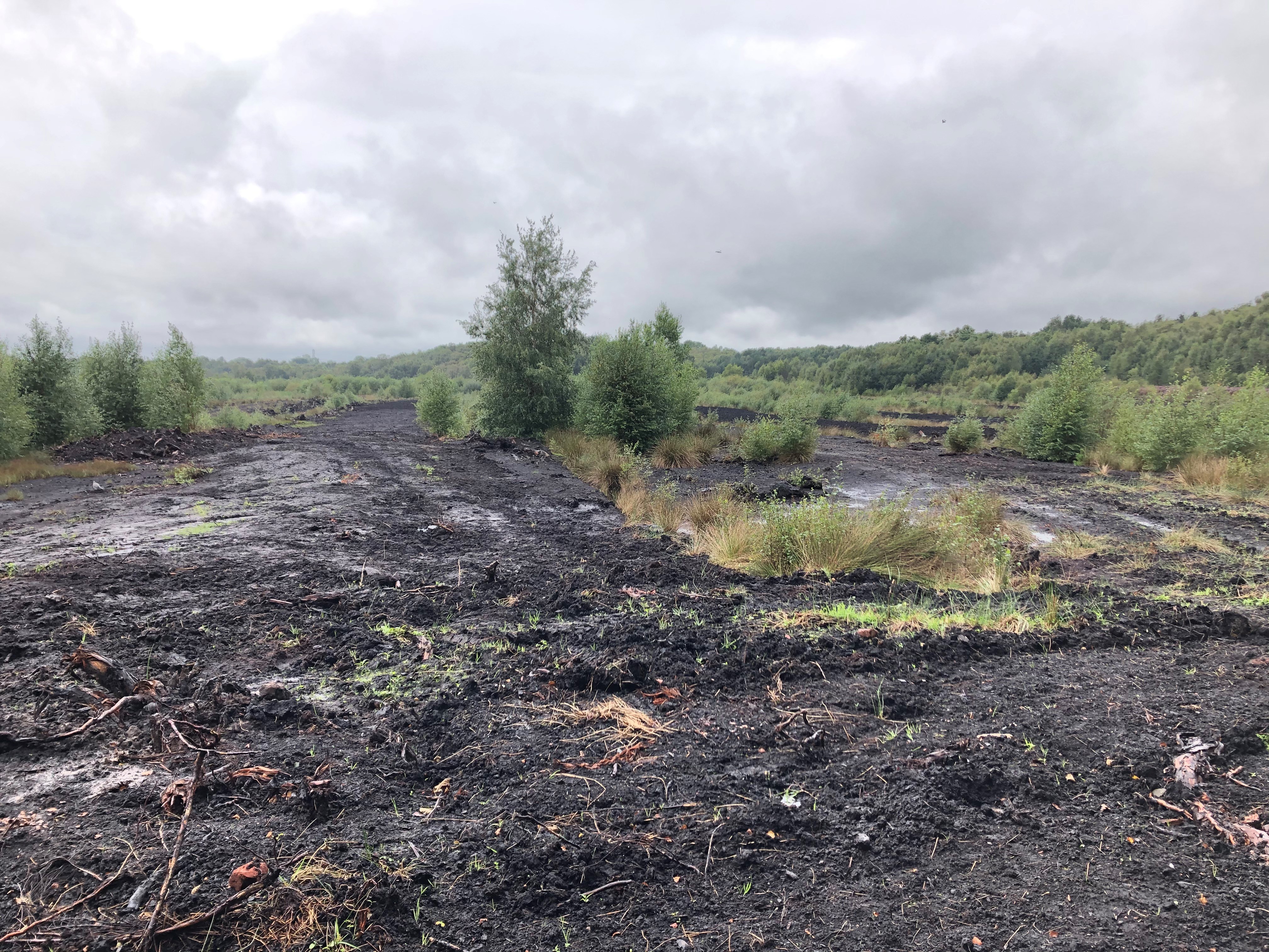 Most of England's peatlands are damaged, degraded and drained which means they are emitting carbon dioxide (Emily Beament/PA)