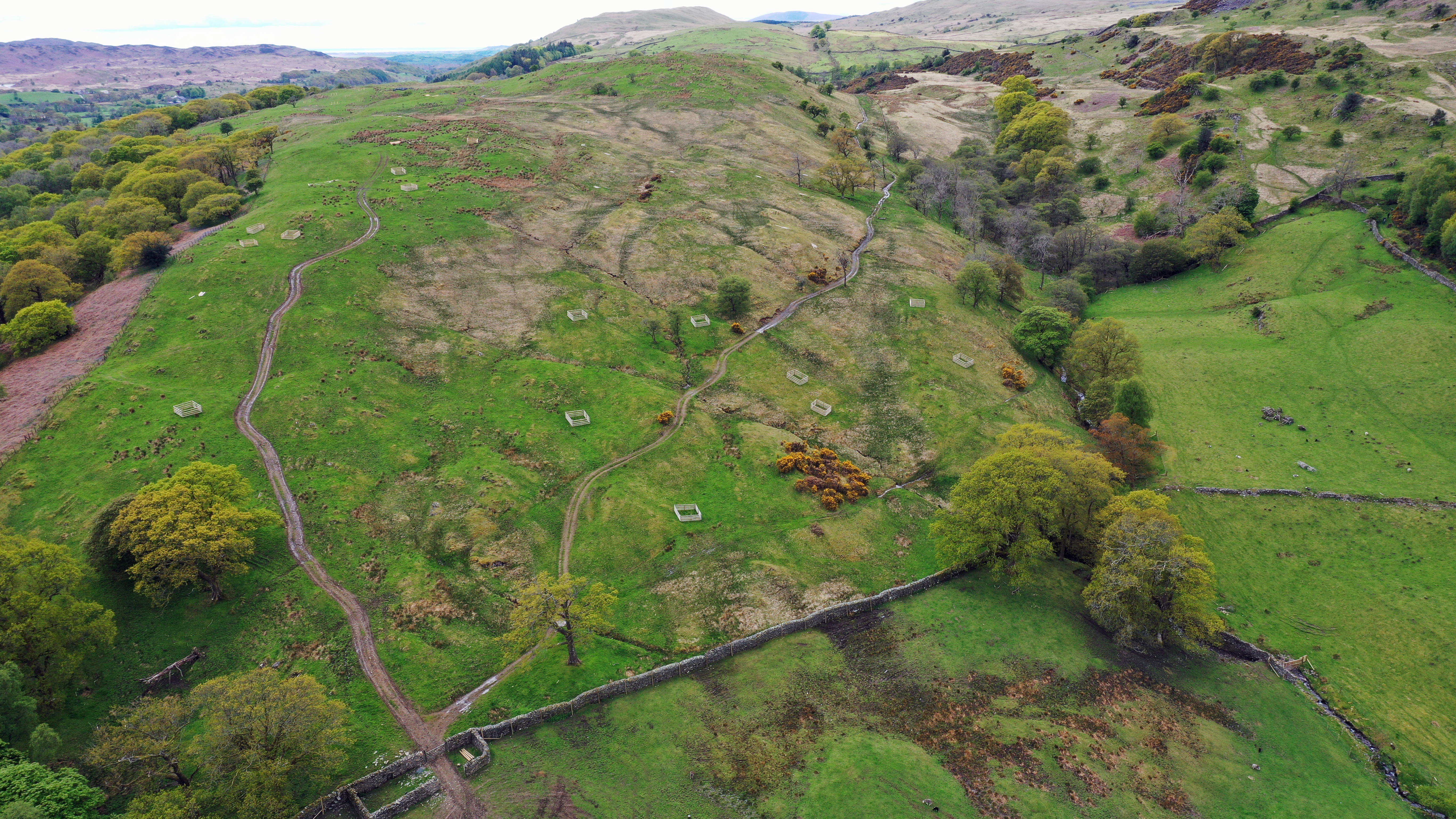 Hillside in the Lake District with crates for saplings scattered across the landscape (National Trust/PA)