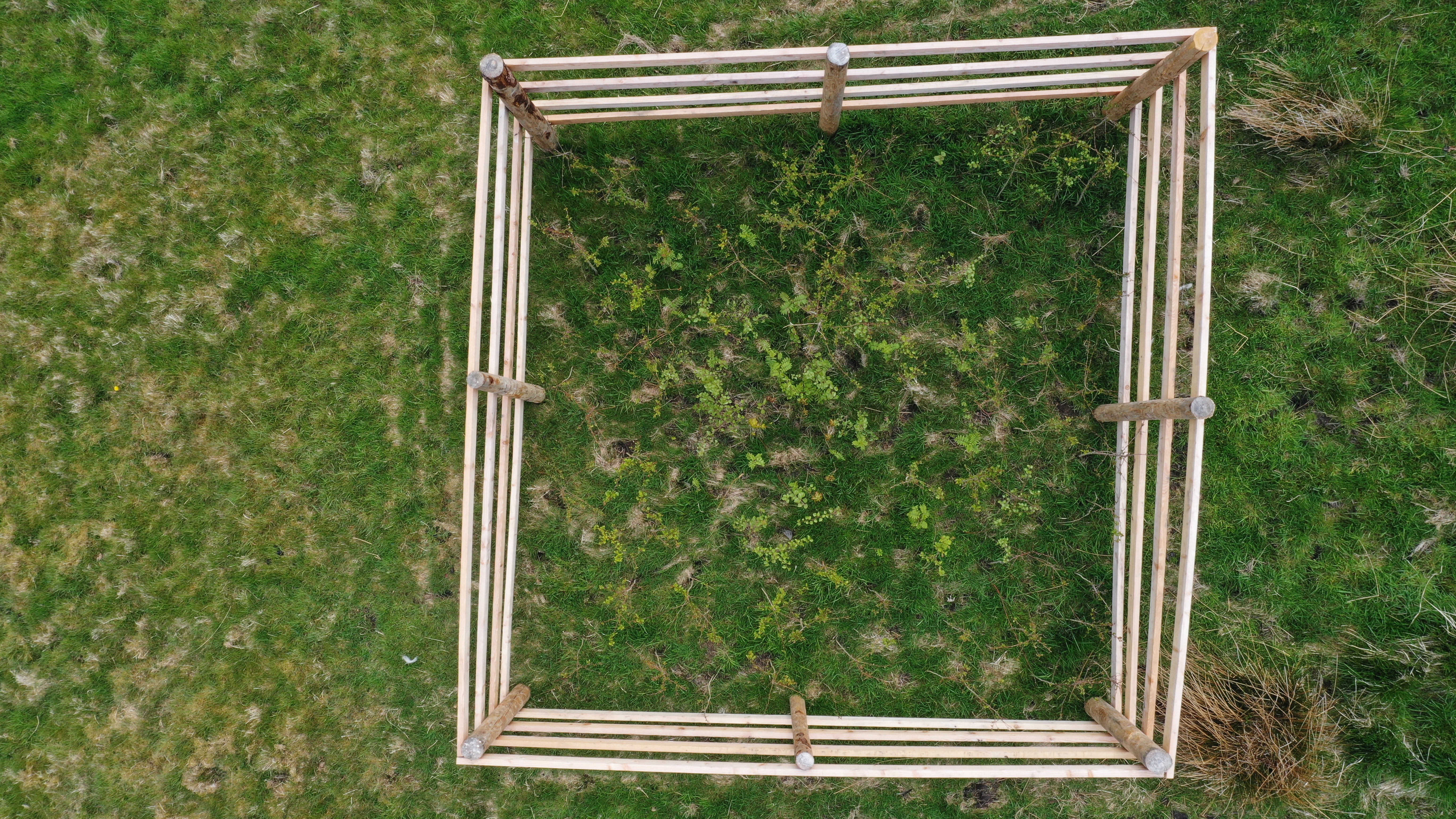 Aerial shot of saplings and thorny shrubs planted in the Lake District cages (National Trust/PA)