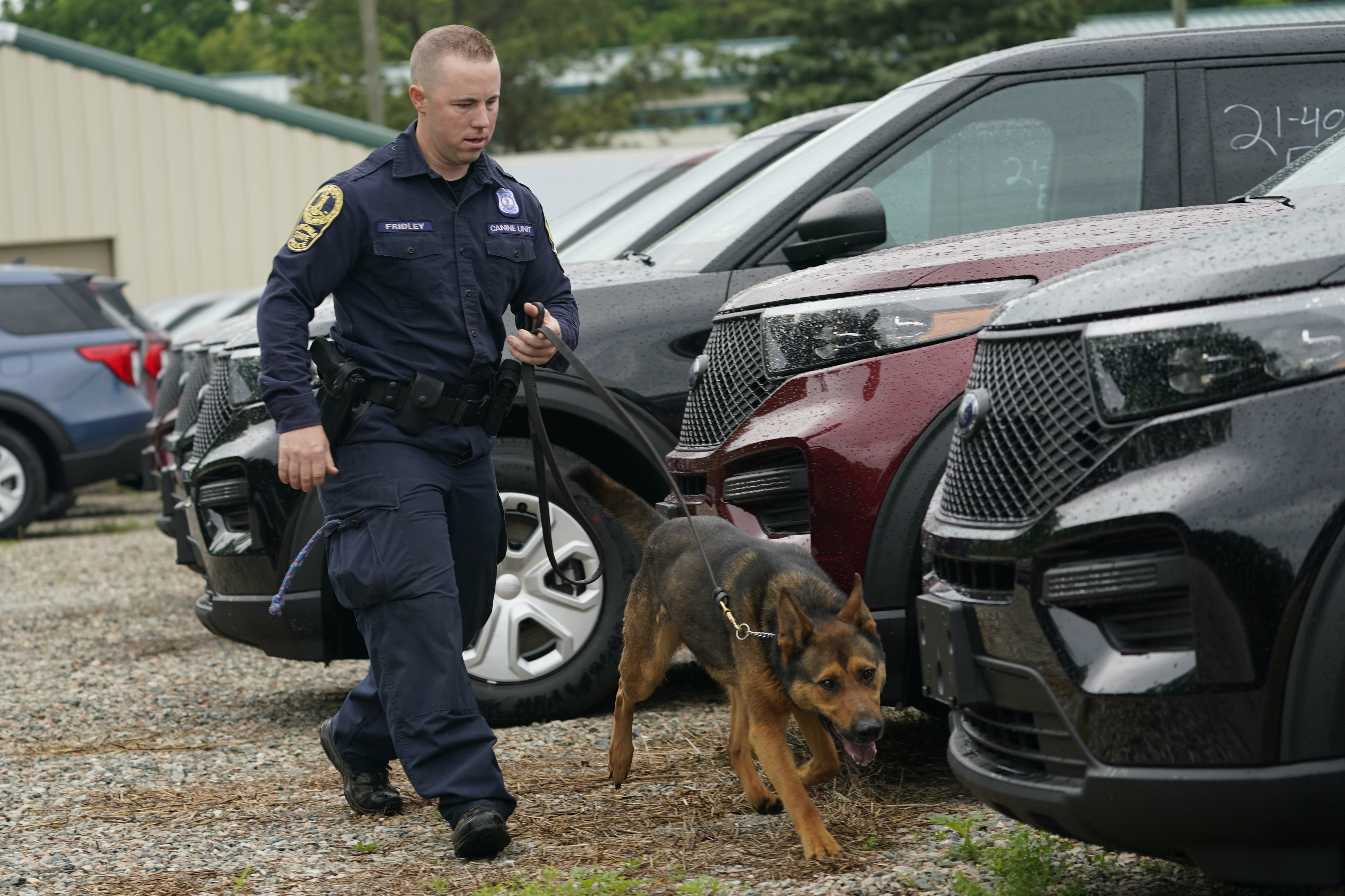 A police officer and his dog