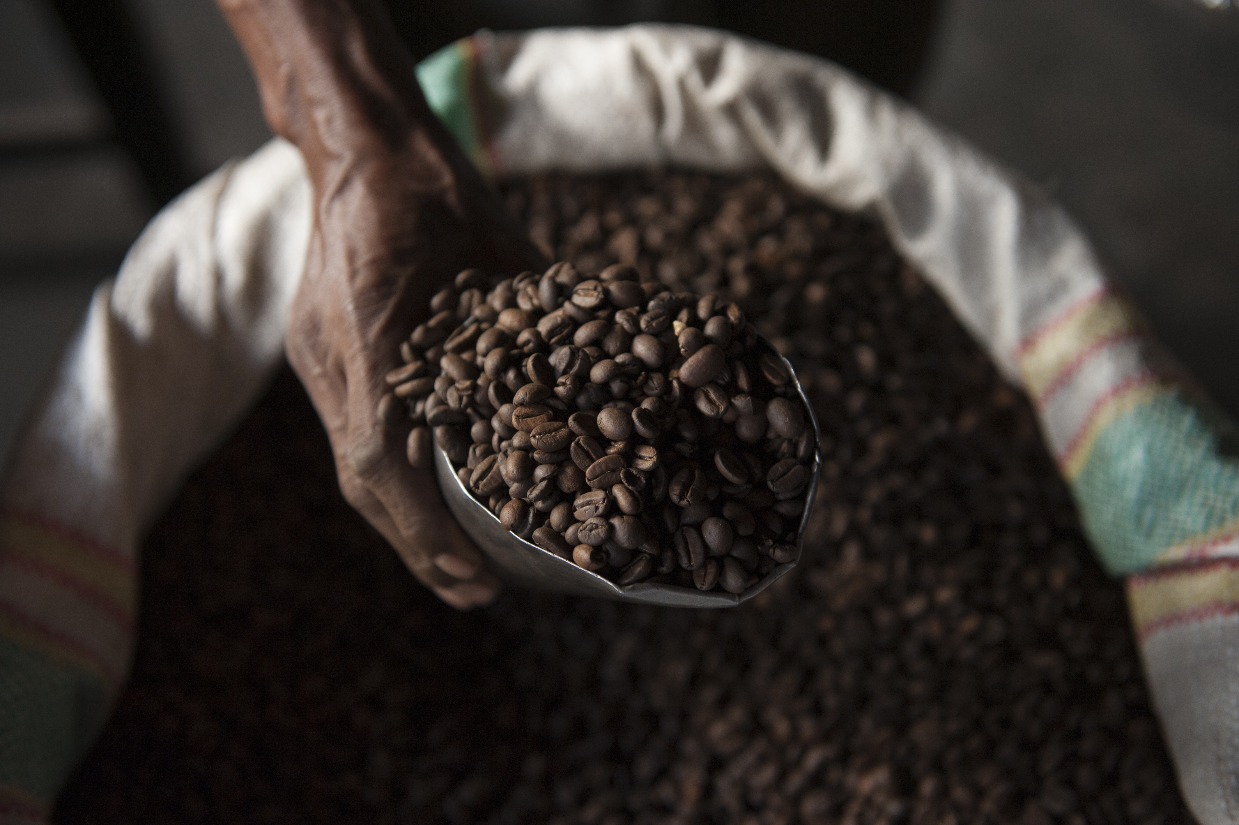 Arabica coffee beans, which make up 60% of global coffee production (Jürgen Freund/WWF/PA)