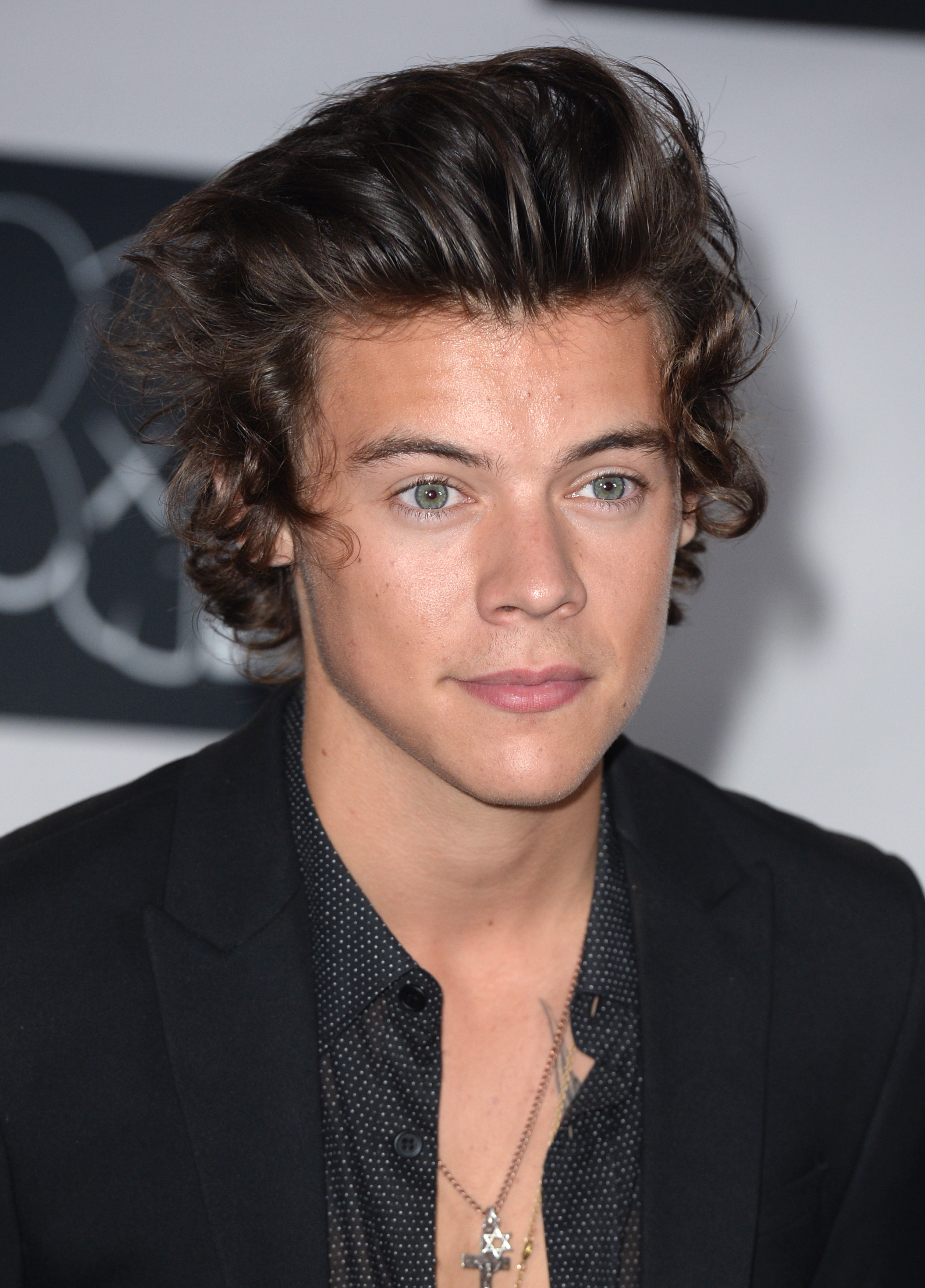 Harry Styles in 2013